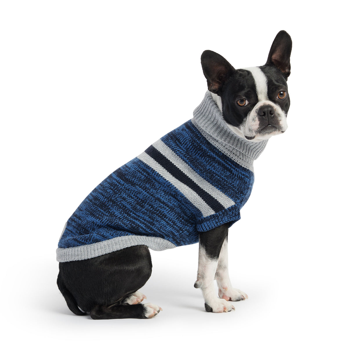 Trekking Sweater - Blue premium pet product