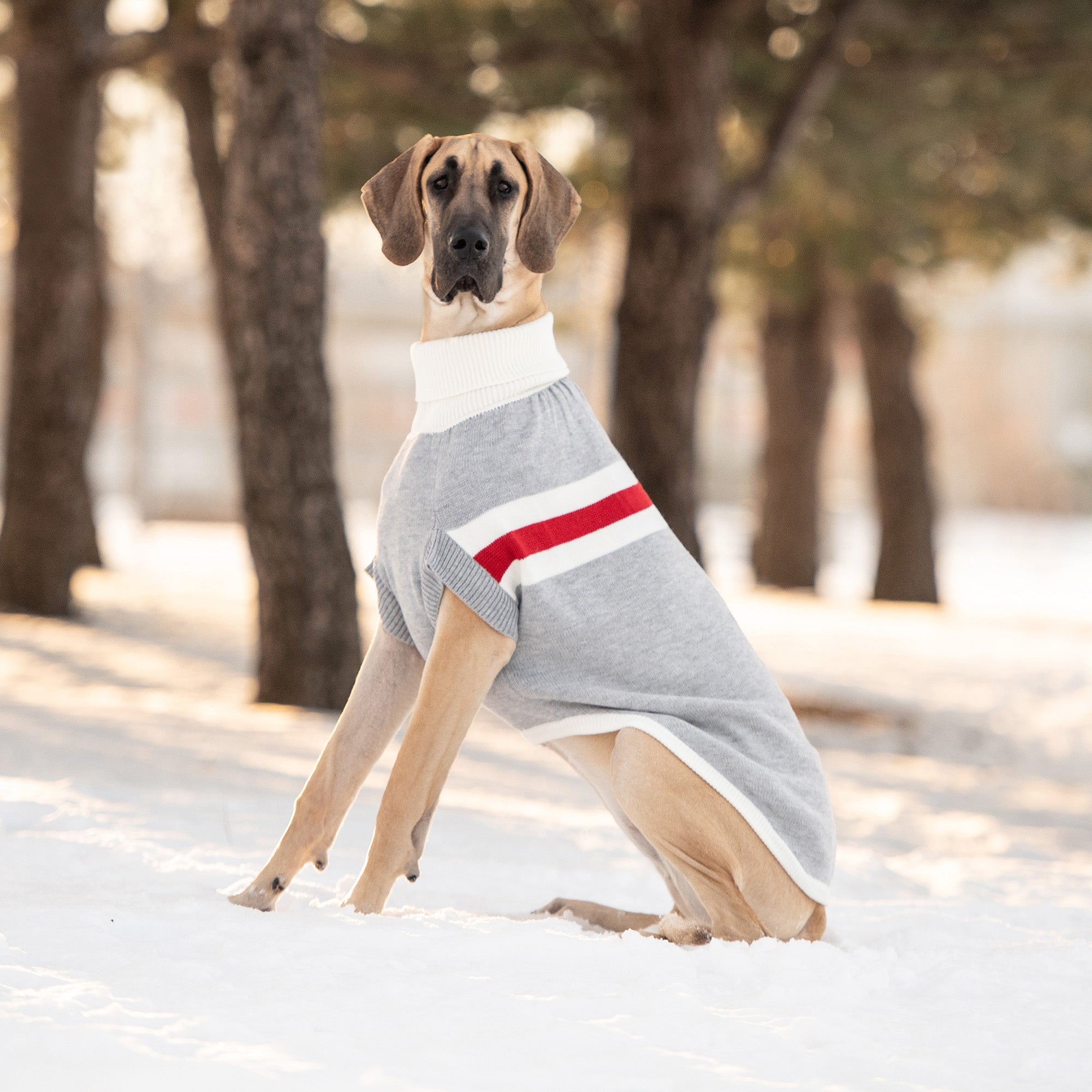 Trekking Sweater - Grey Mix premium pet product