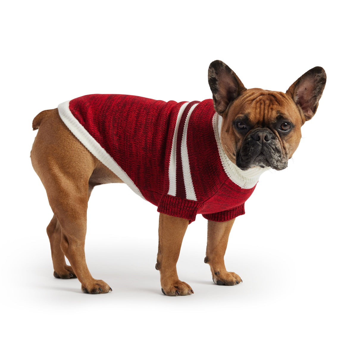 Trekking Sweater - Red premium pet product