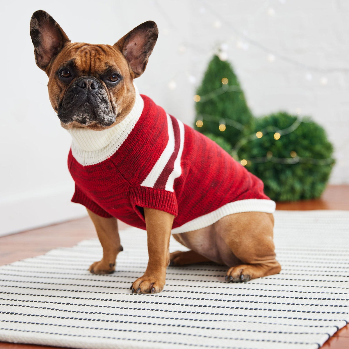 Trekking Sweater - Red premium pet product
