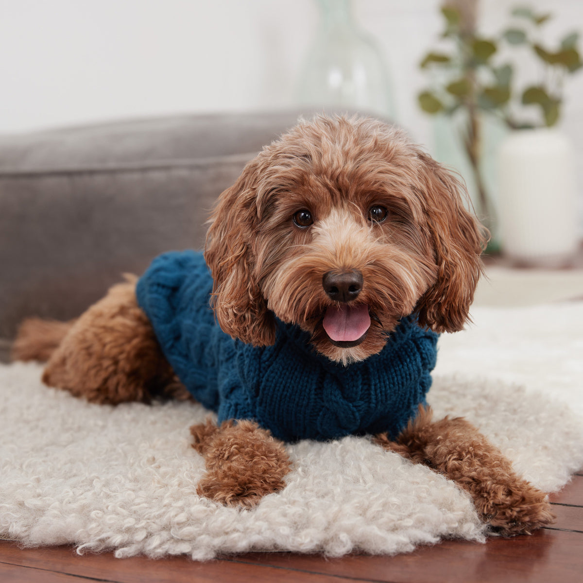 Chalet Sweater - Dark Teal premium pet product
