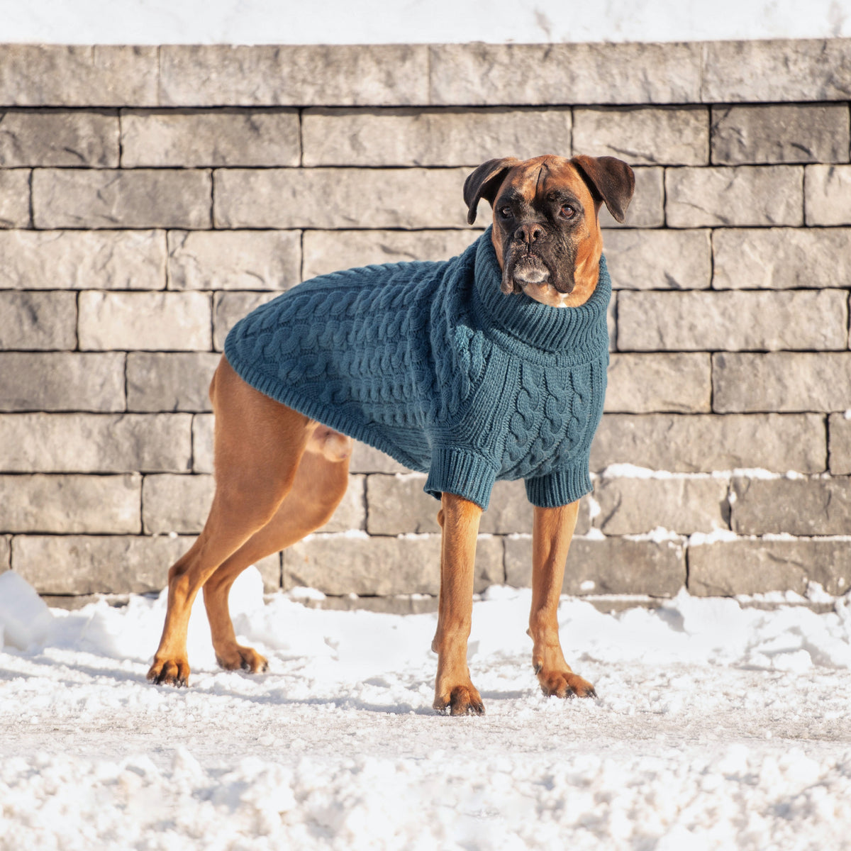 Chalet Sweater - Dark Teal premium pet product