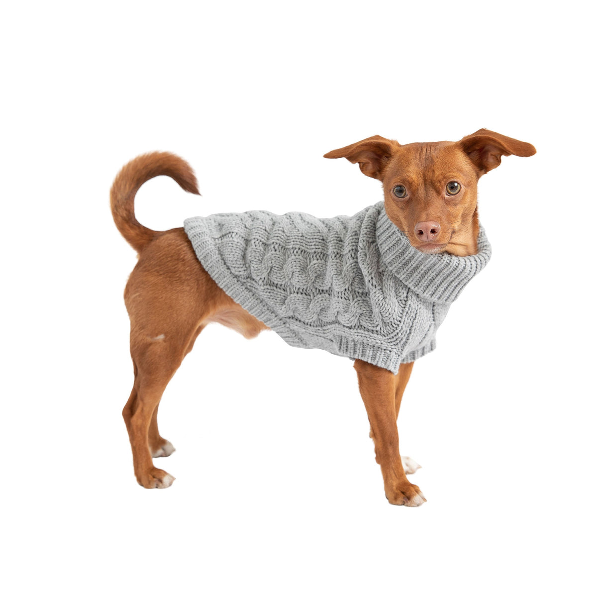 Chalet Sweater - Grey premium pet product