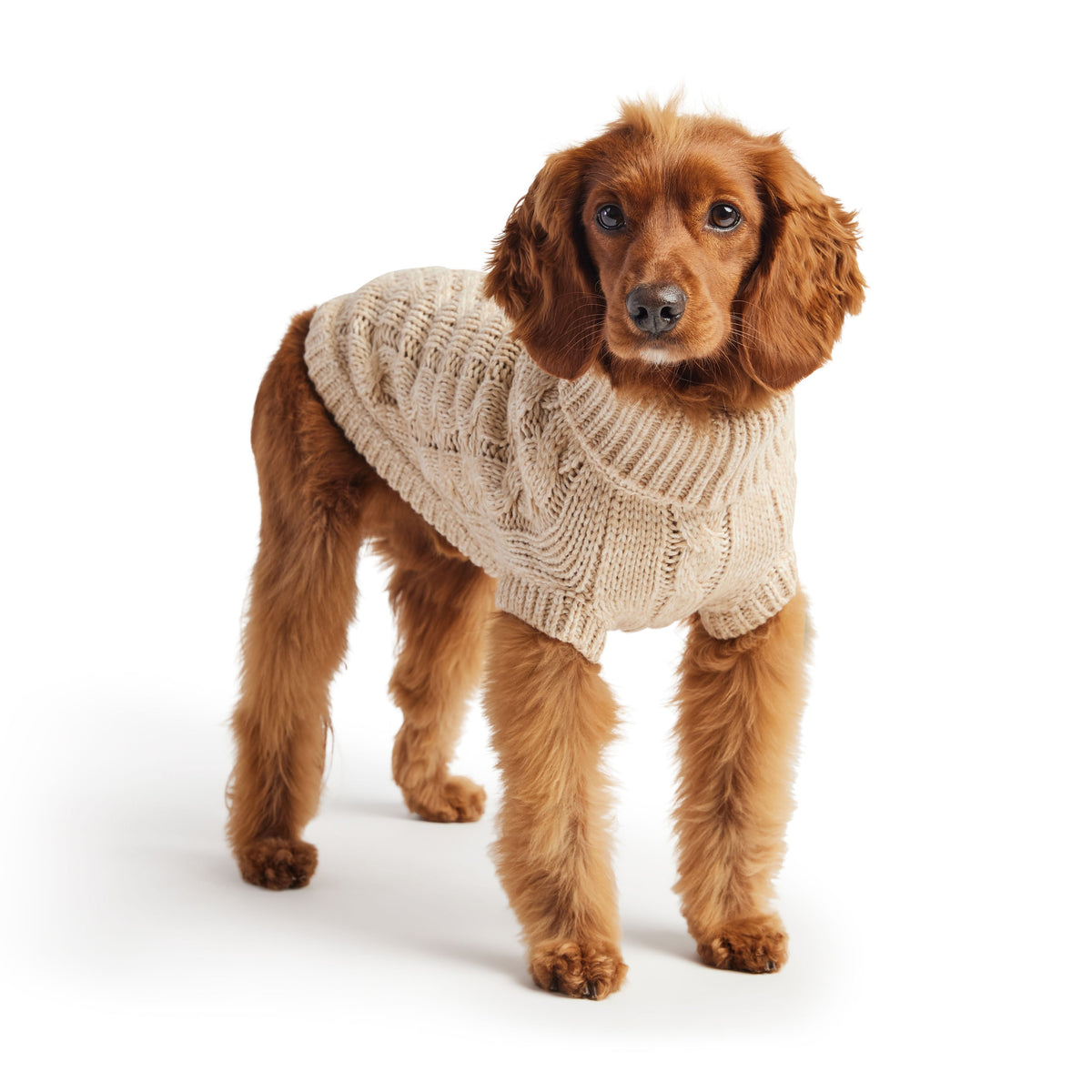 Chalet Sweater - Oatmeal premium pet product