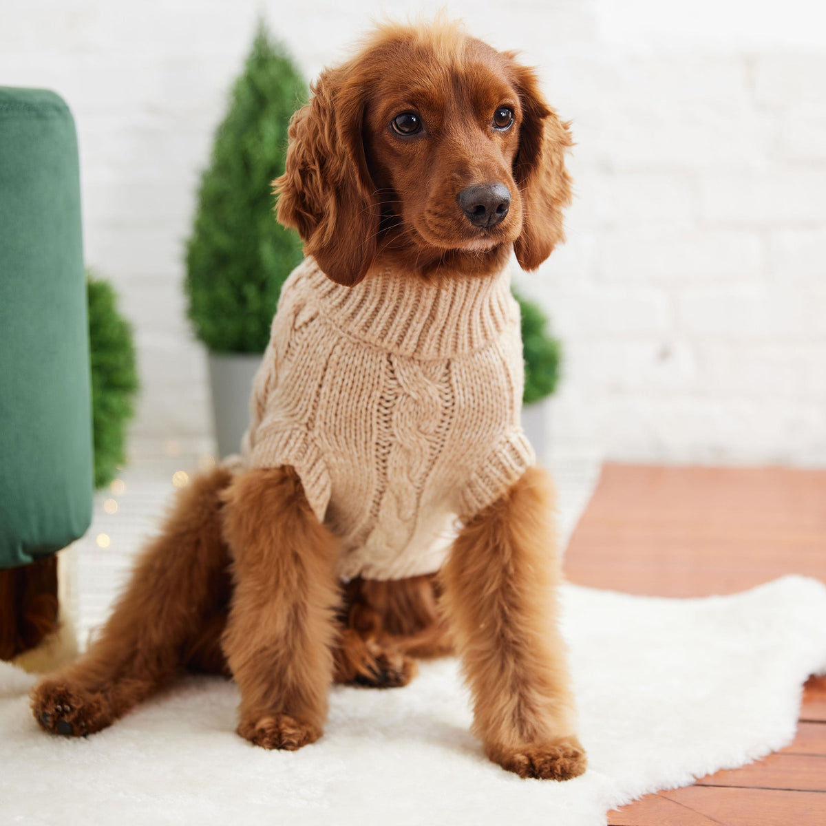 Chalet Sweater - Oatmeal premium pet product