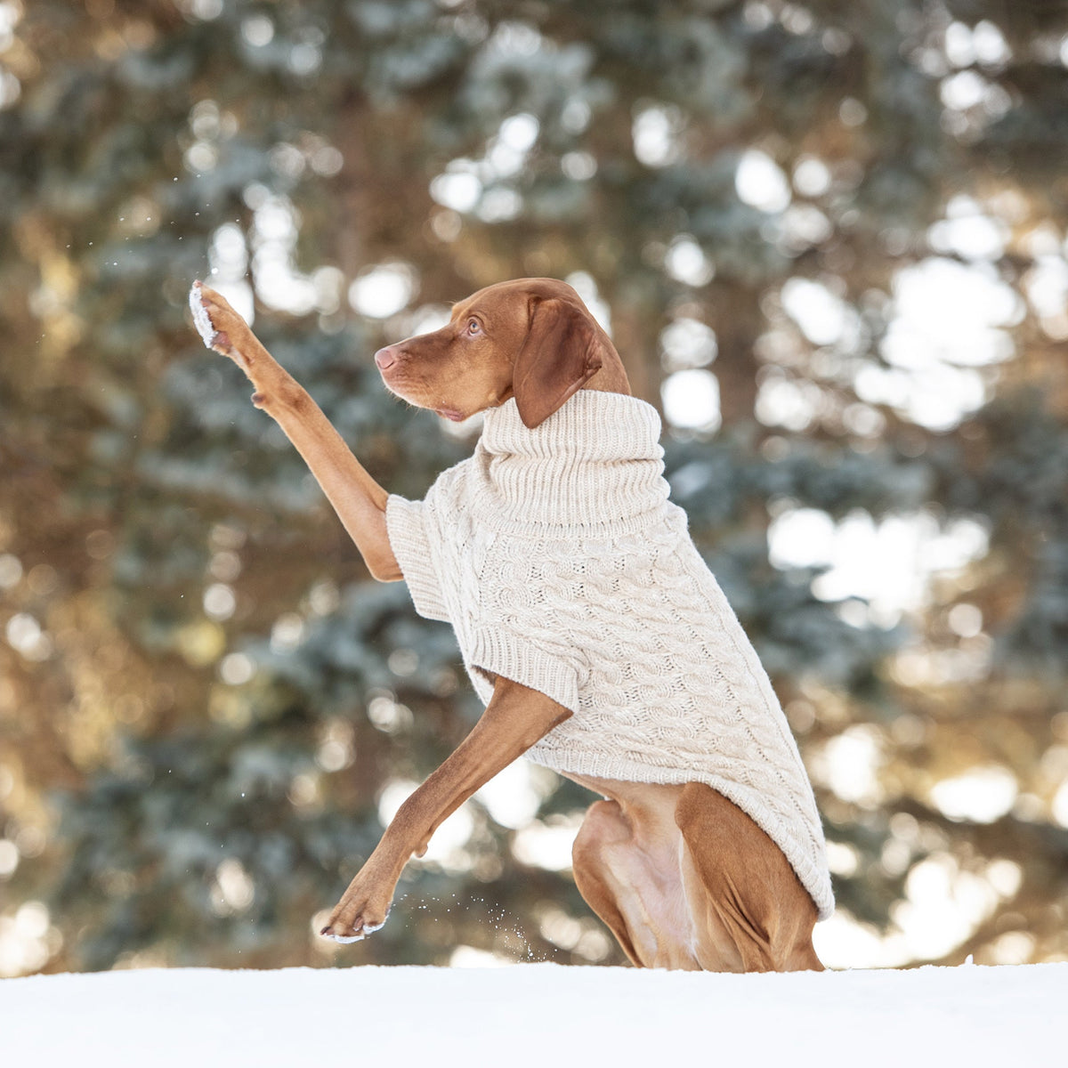 Chalet Sweater - Oatmeal premium pet product