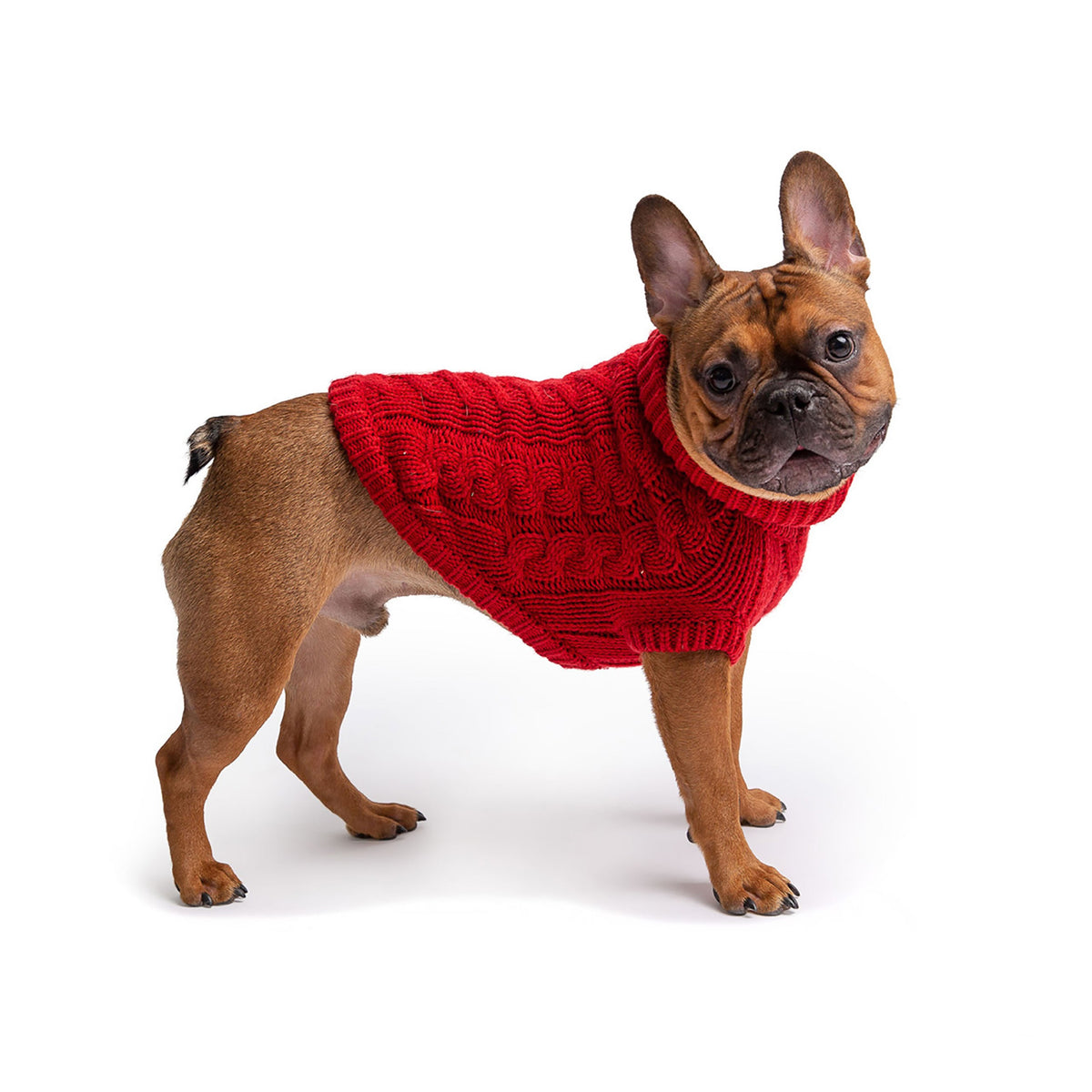 Chalet Sweater - Red premium pet product