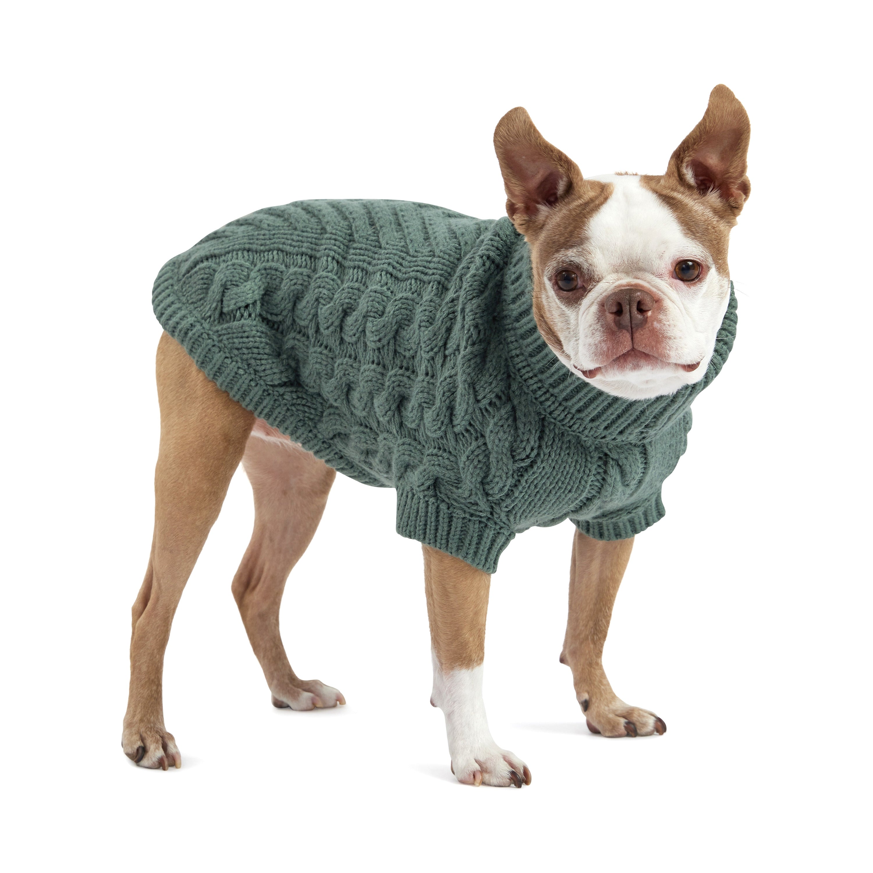 Chalet Sweater - Sage premium pet product