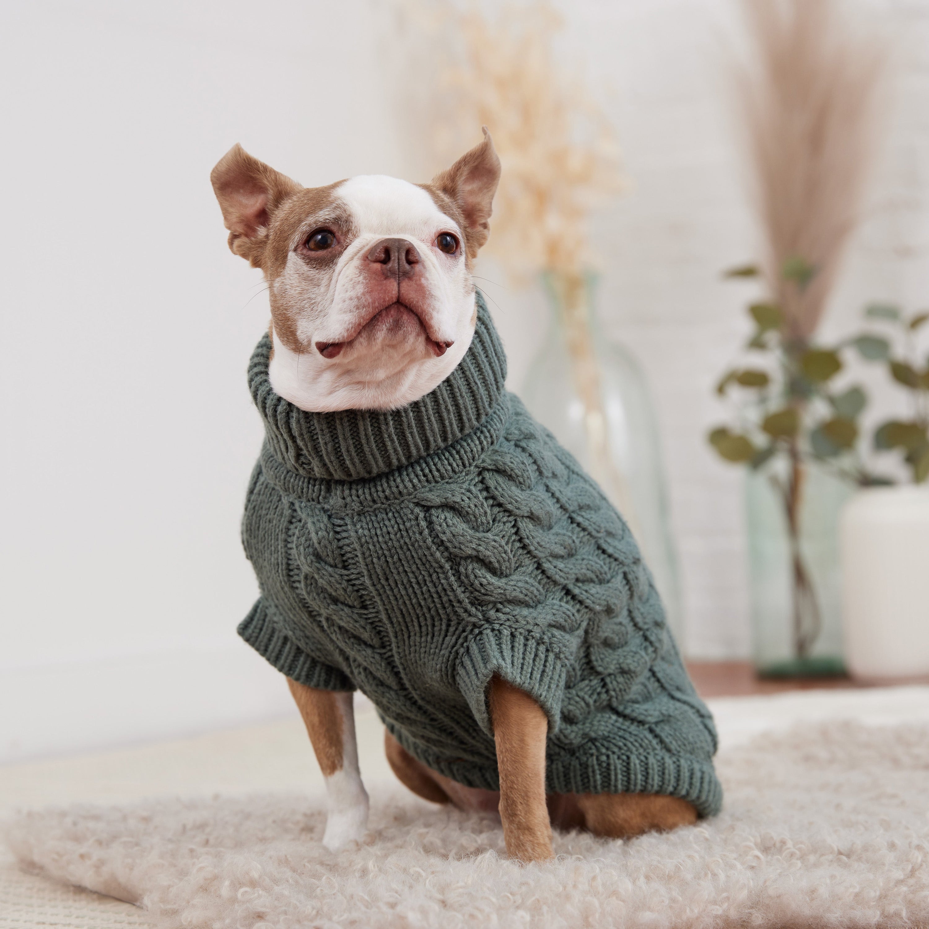 Chalet Sweater - Sage premium pet product