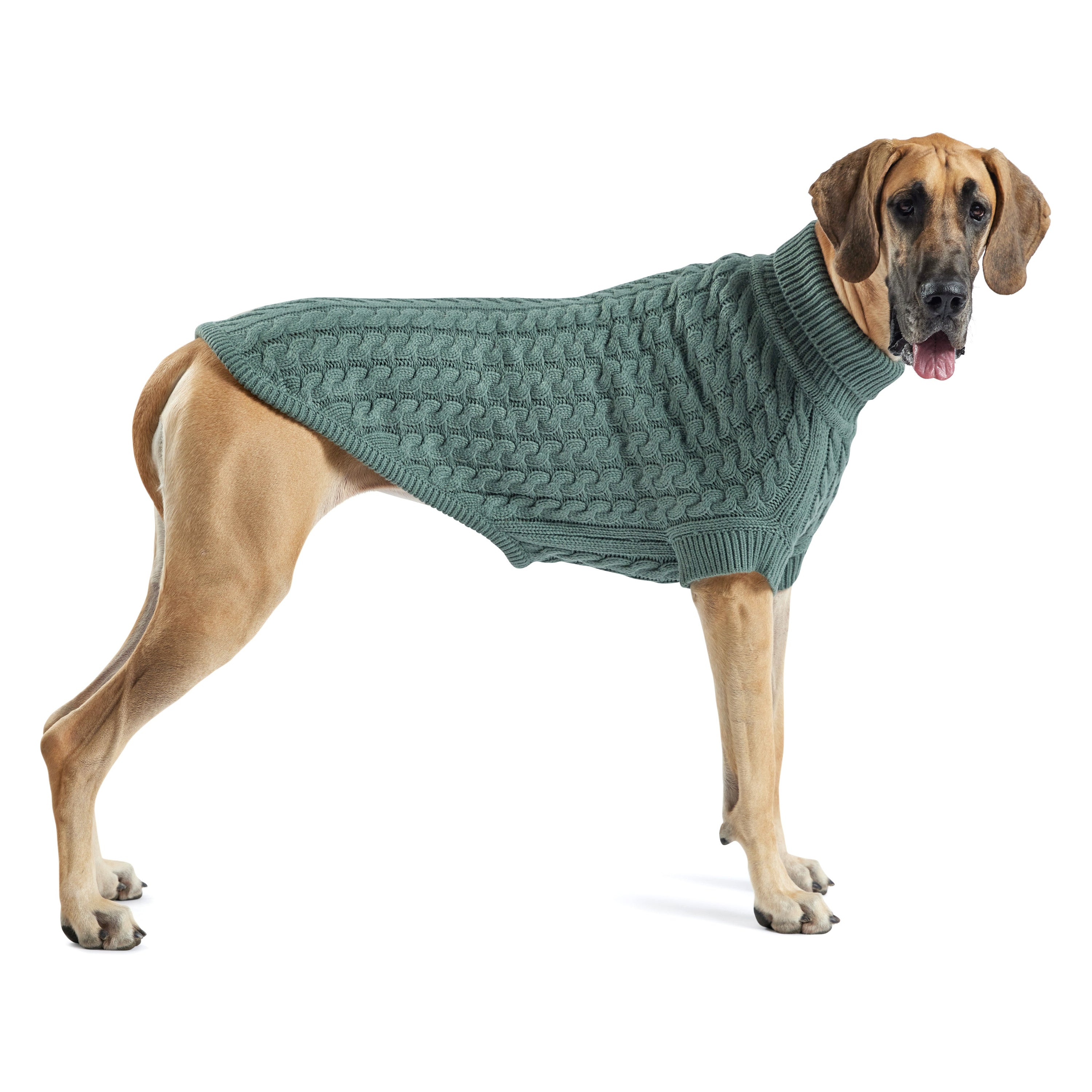Chalet Sweater - Sage premium pet product