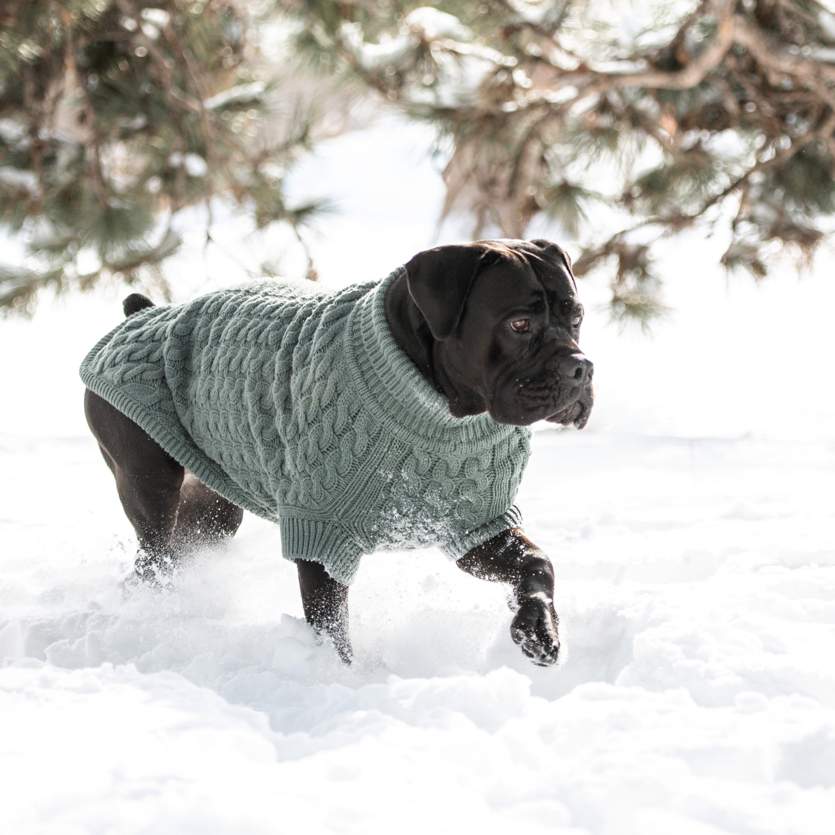Chalet Sweater - Sage premium pet product