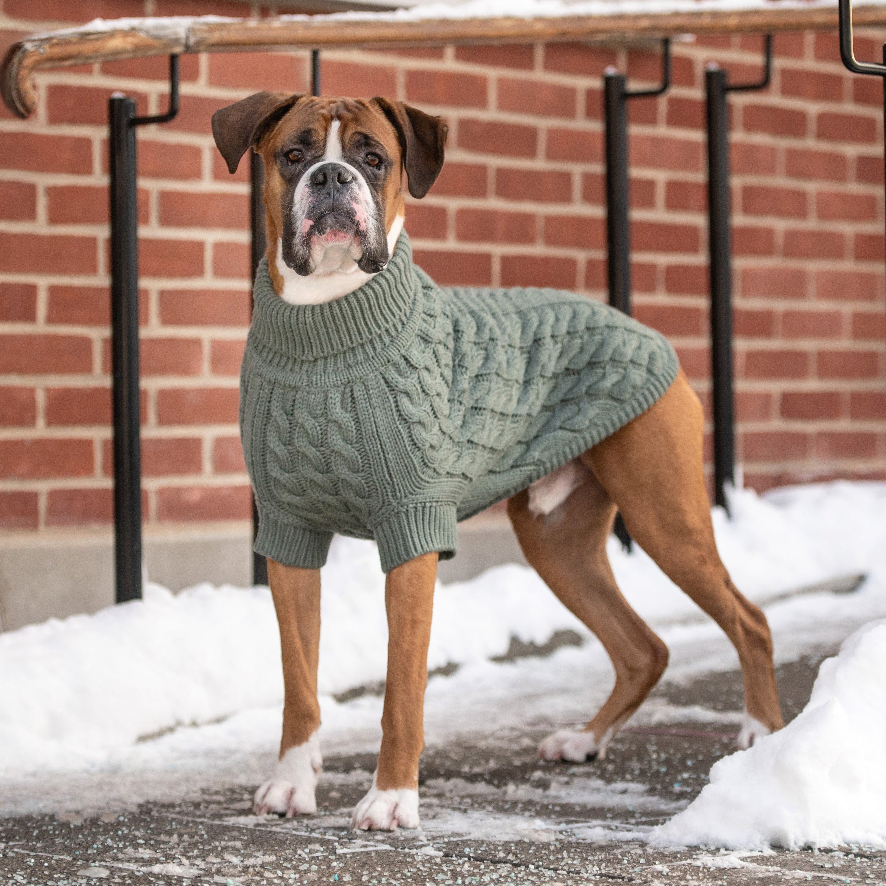 Chalet Sweater - Sage premium pet product