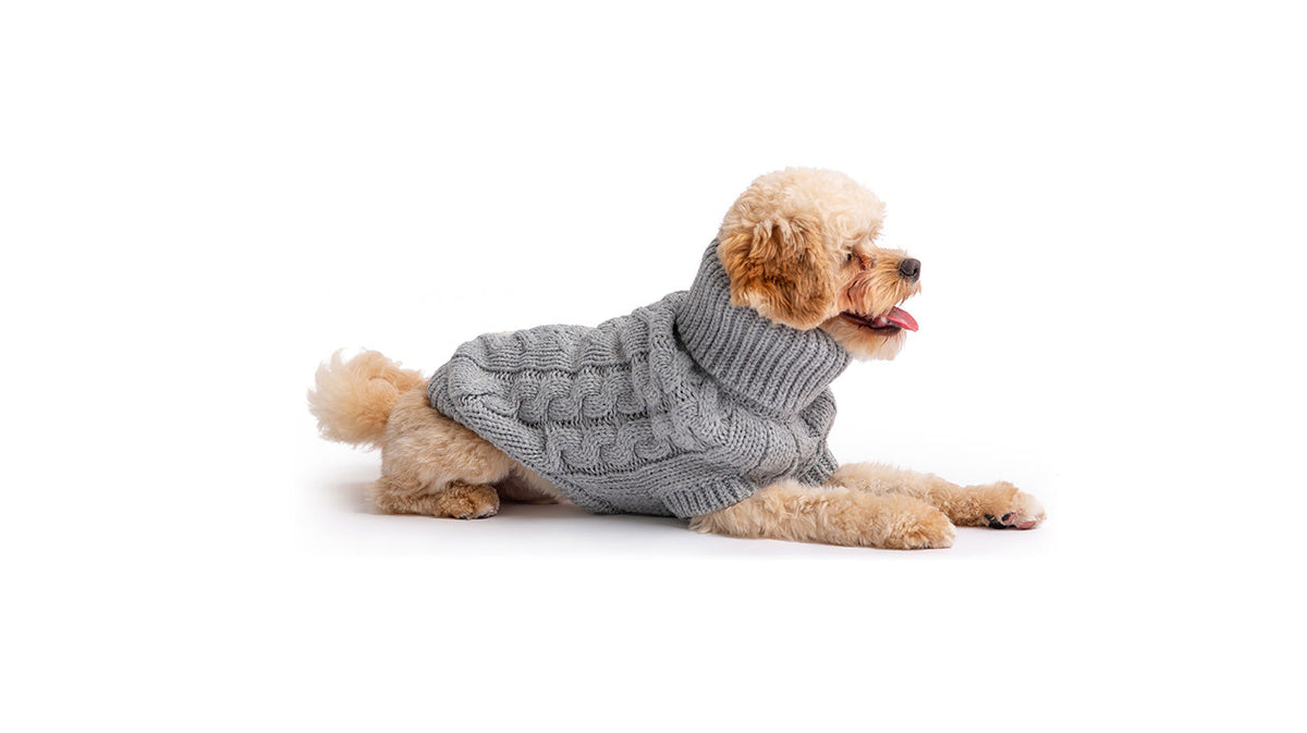 Chalet Sweater - Grey premium pet product
