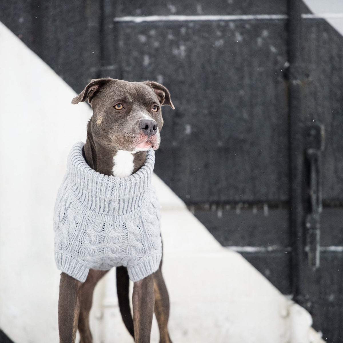 Chalet Sweater - Grey premium pet product