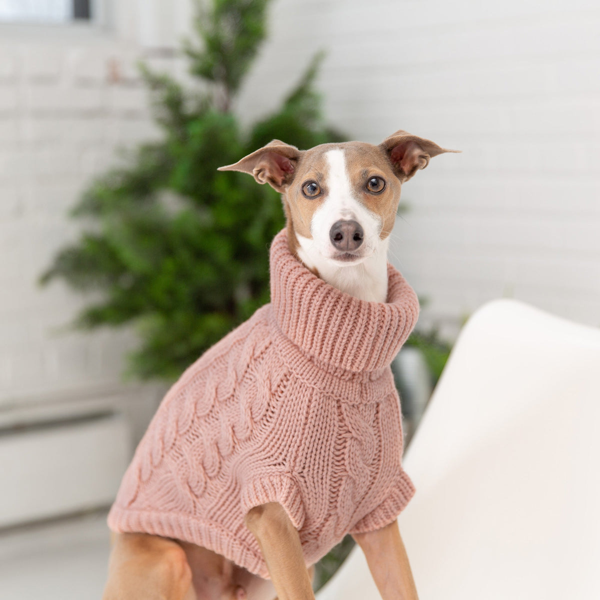 Chalet Sweater - Pink premium pet product