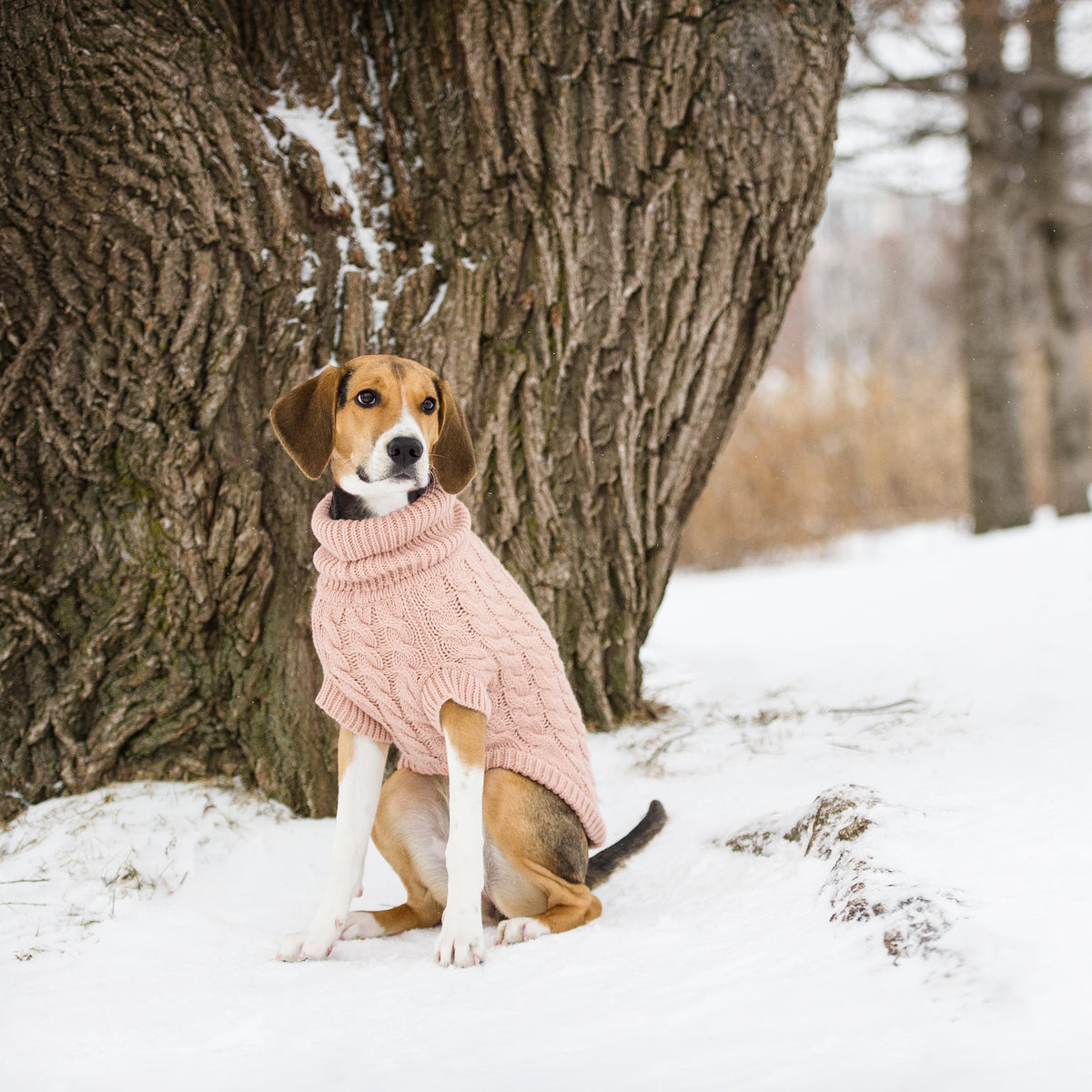 Chalet Sweater - Pink premium pet product