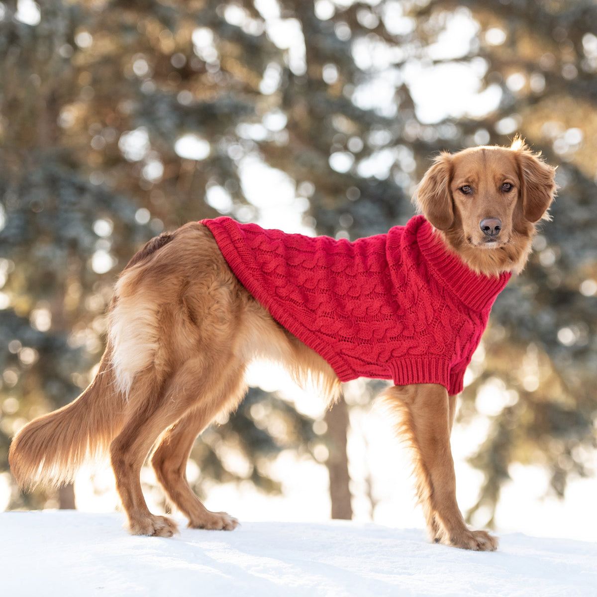 Chalet Sweater - Red premium pet product