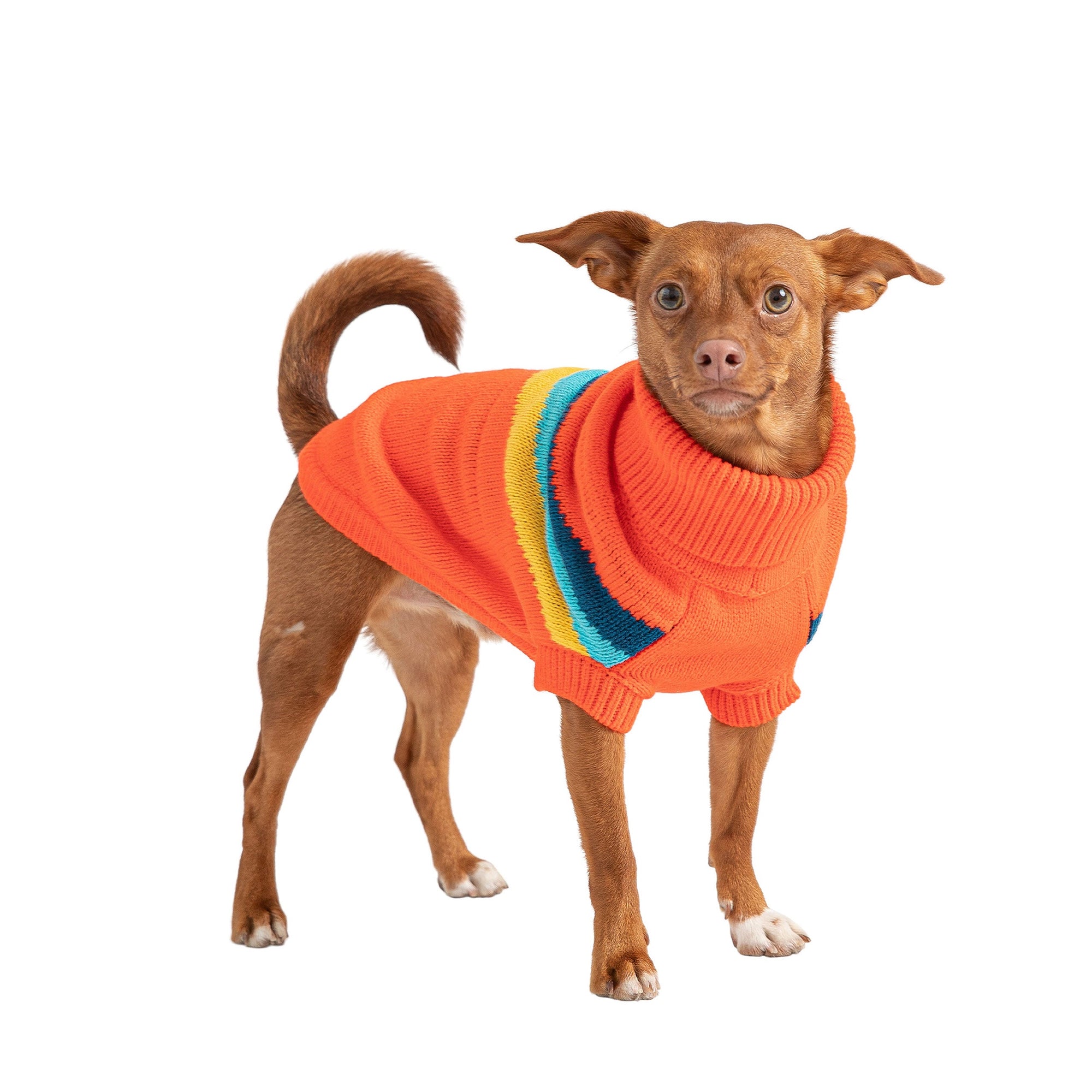 Alpine Sweater - Orange premium pet product
