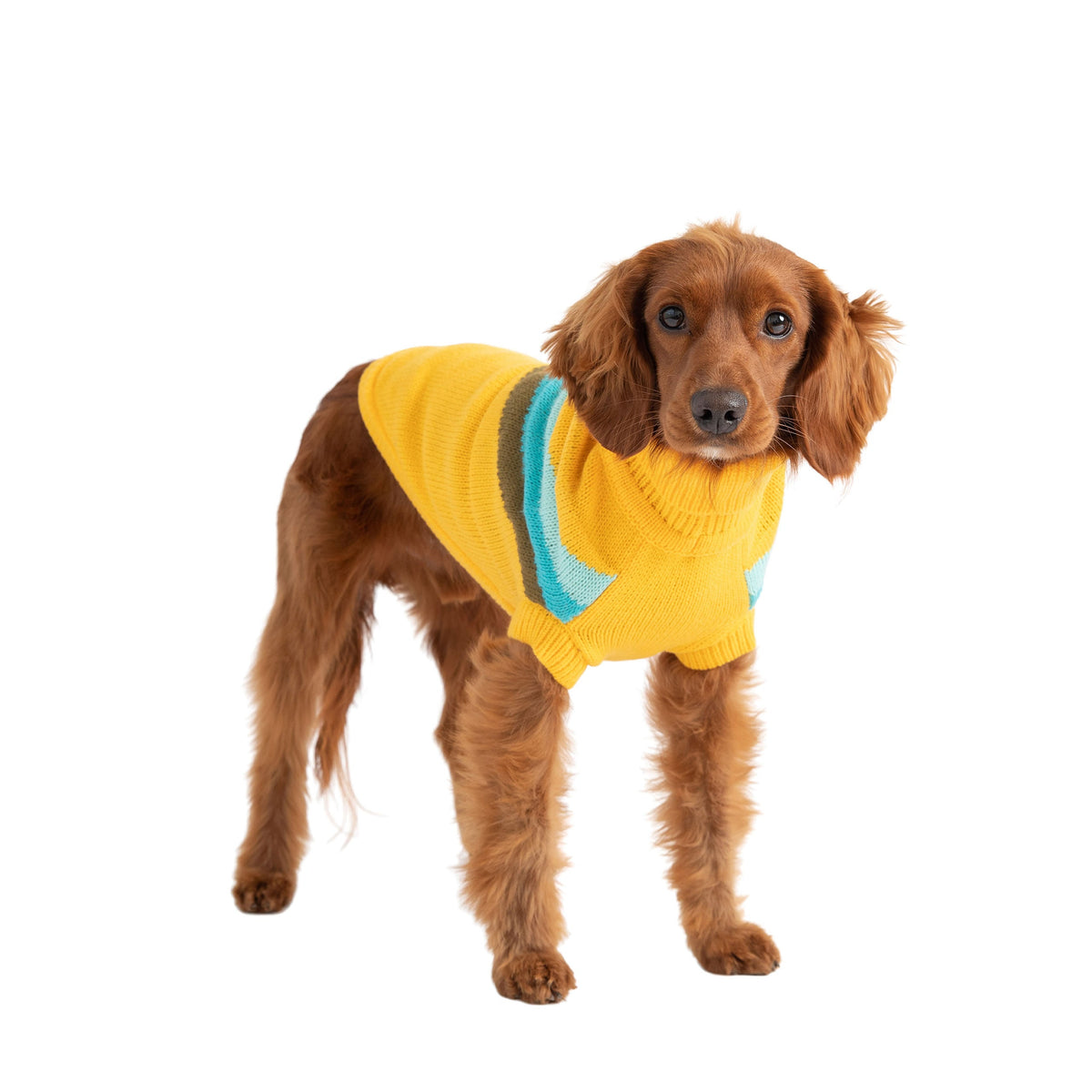 Alpine Sweater - Yellow premium pet product