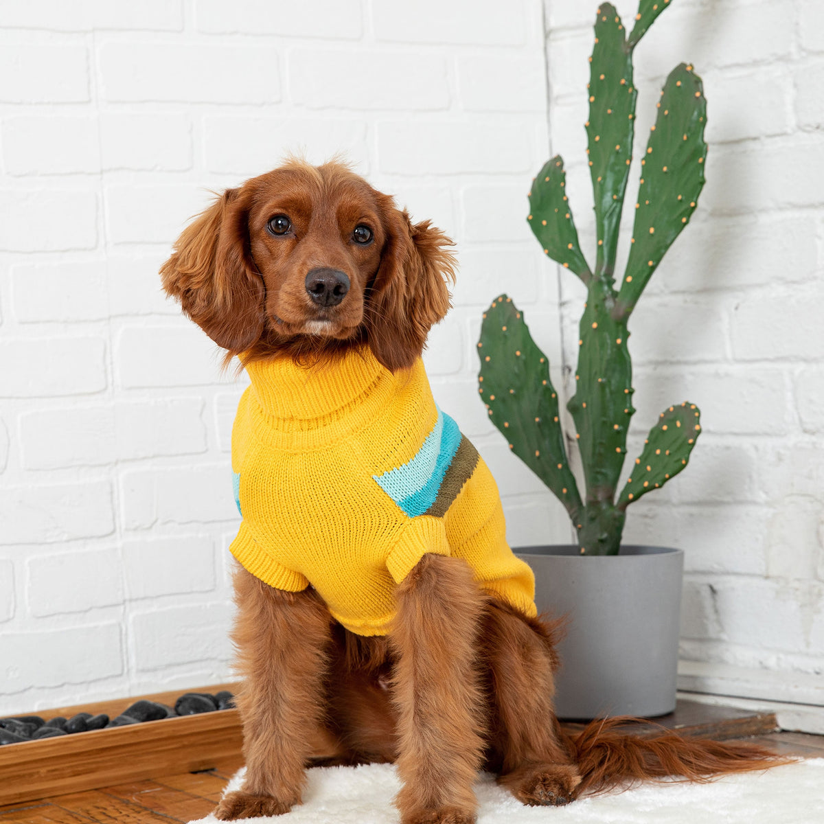 Alpine Sweater - Yellow premium pet product