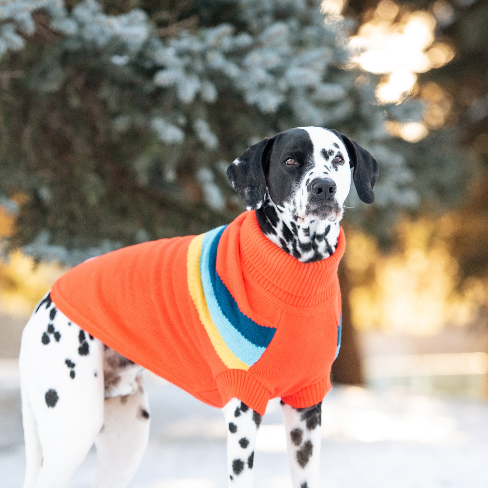 Alpine Sweater - Orange premium pet product