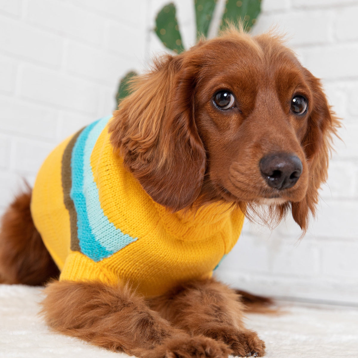 Alpine Sweater - Yellow premium pet product