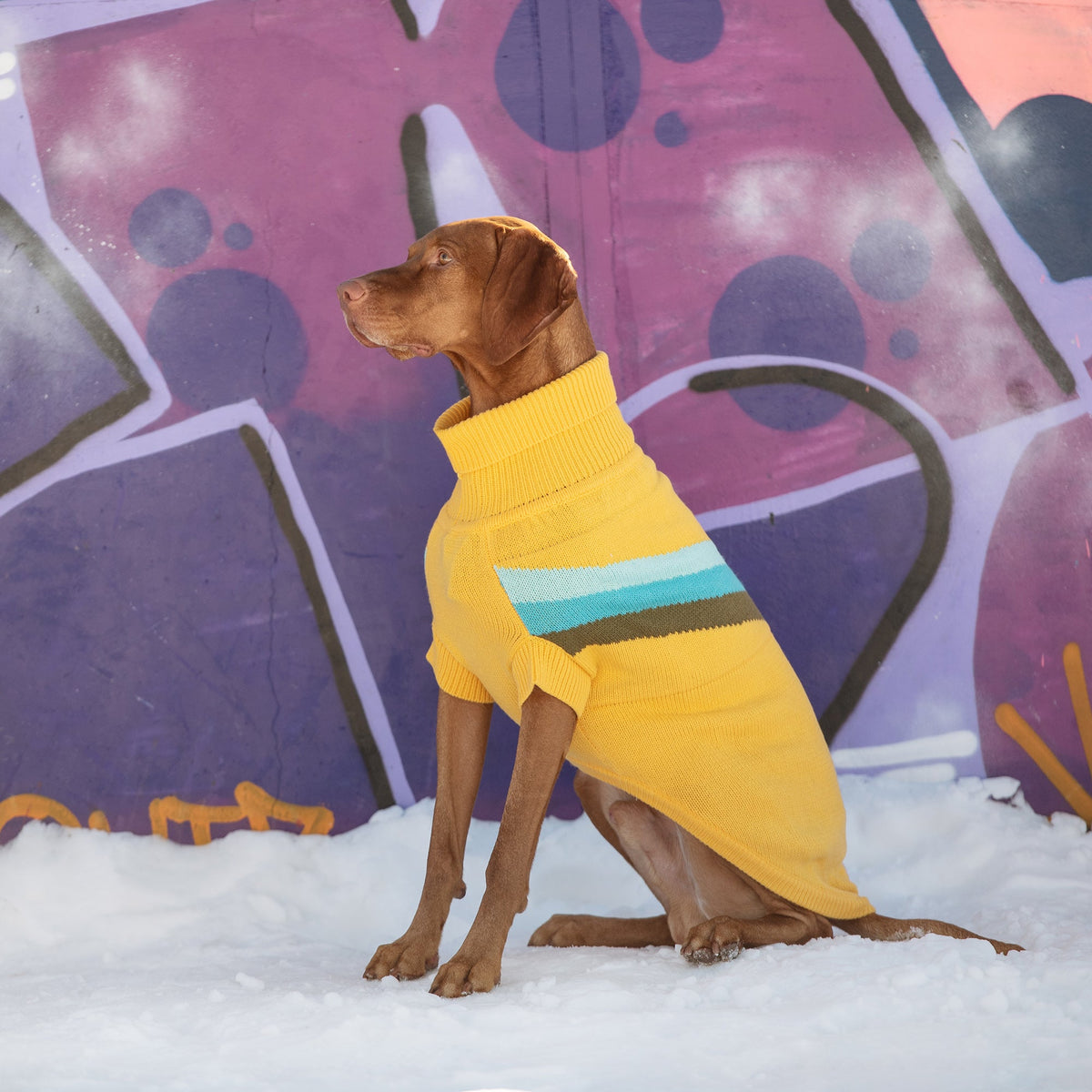 Alpine Sweater - Yellow premium pet product