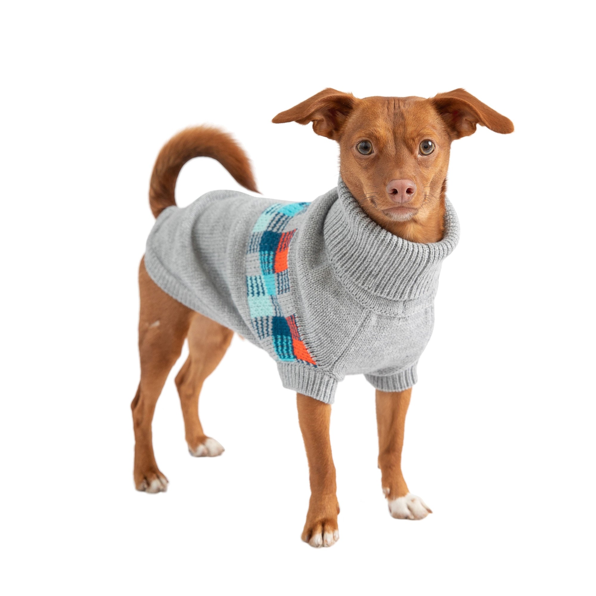 Winter Sailor Sweater - Grey Mix premium pet product