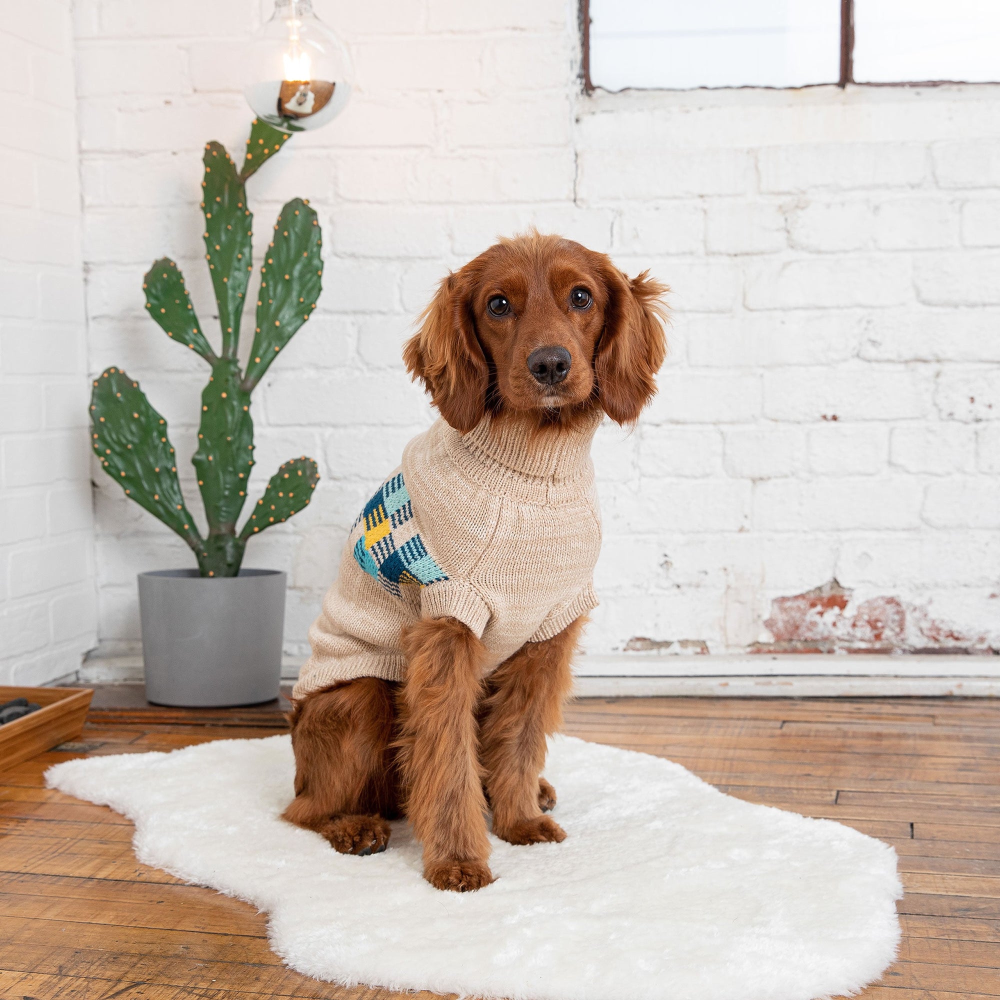 Winter Sailor Sweater - Oatmeal Mix premium pet product