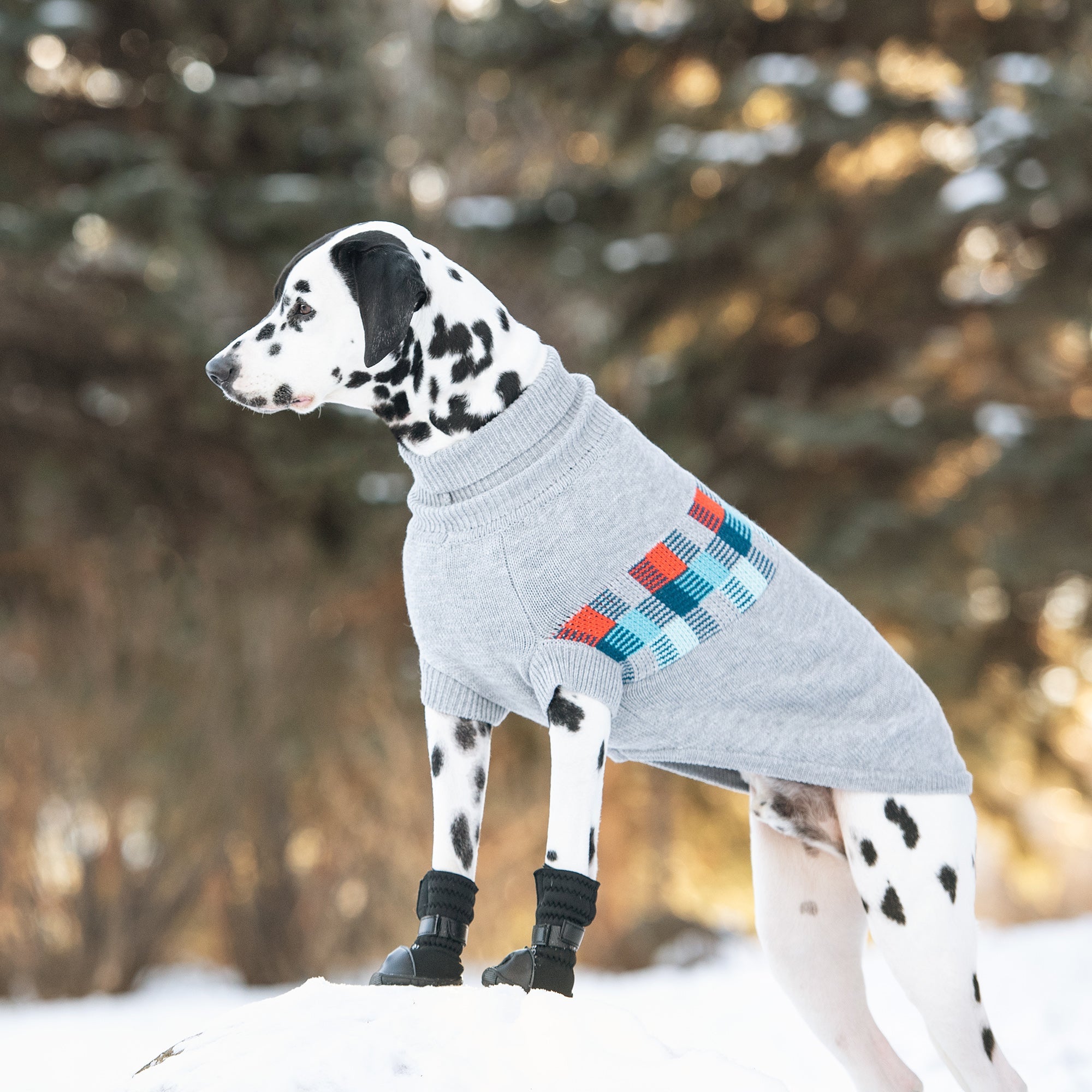 Winter Sailor Sweater - Grey Mix premium pet product