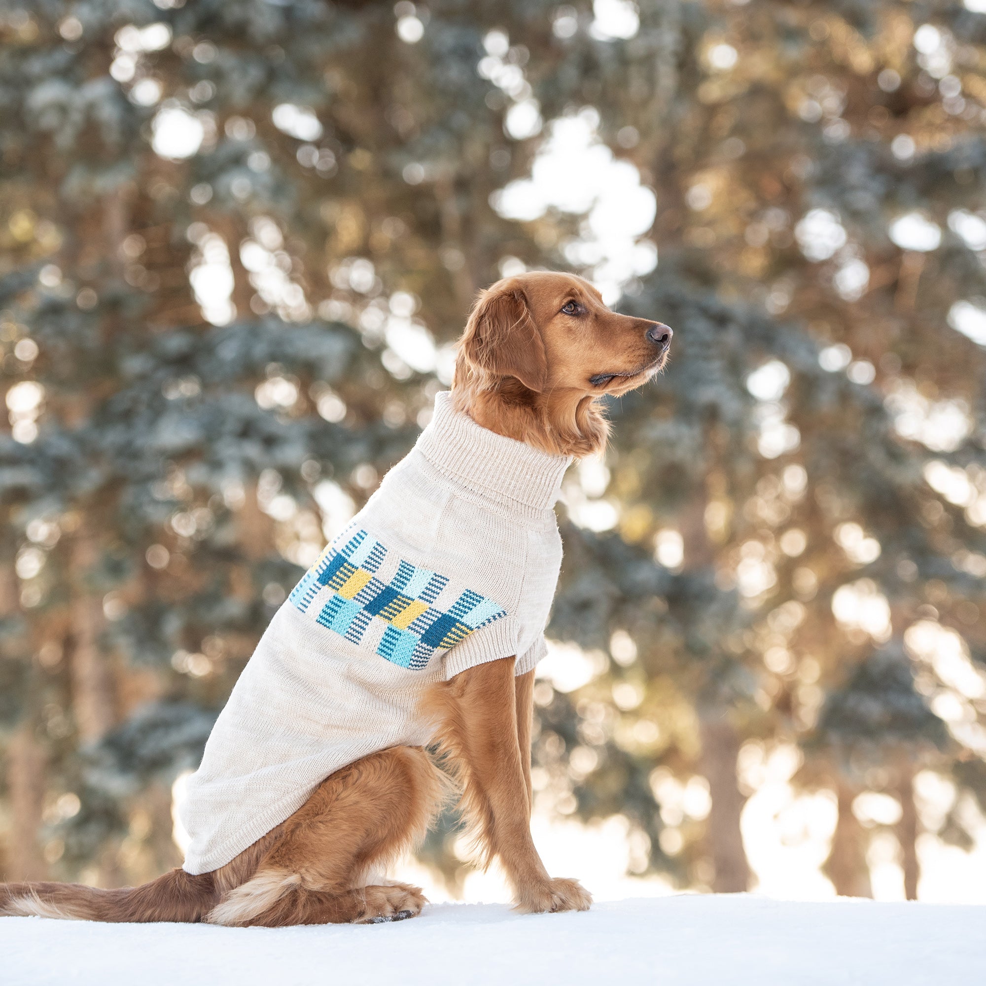 Winter Sailor Sweater - Oatmeal Mix premium pet product