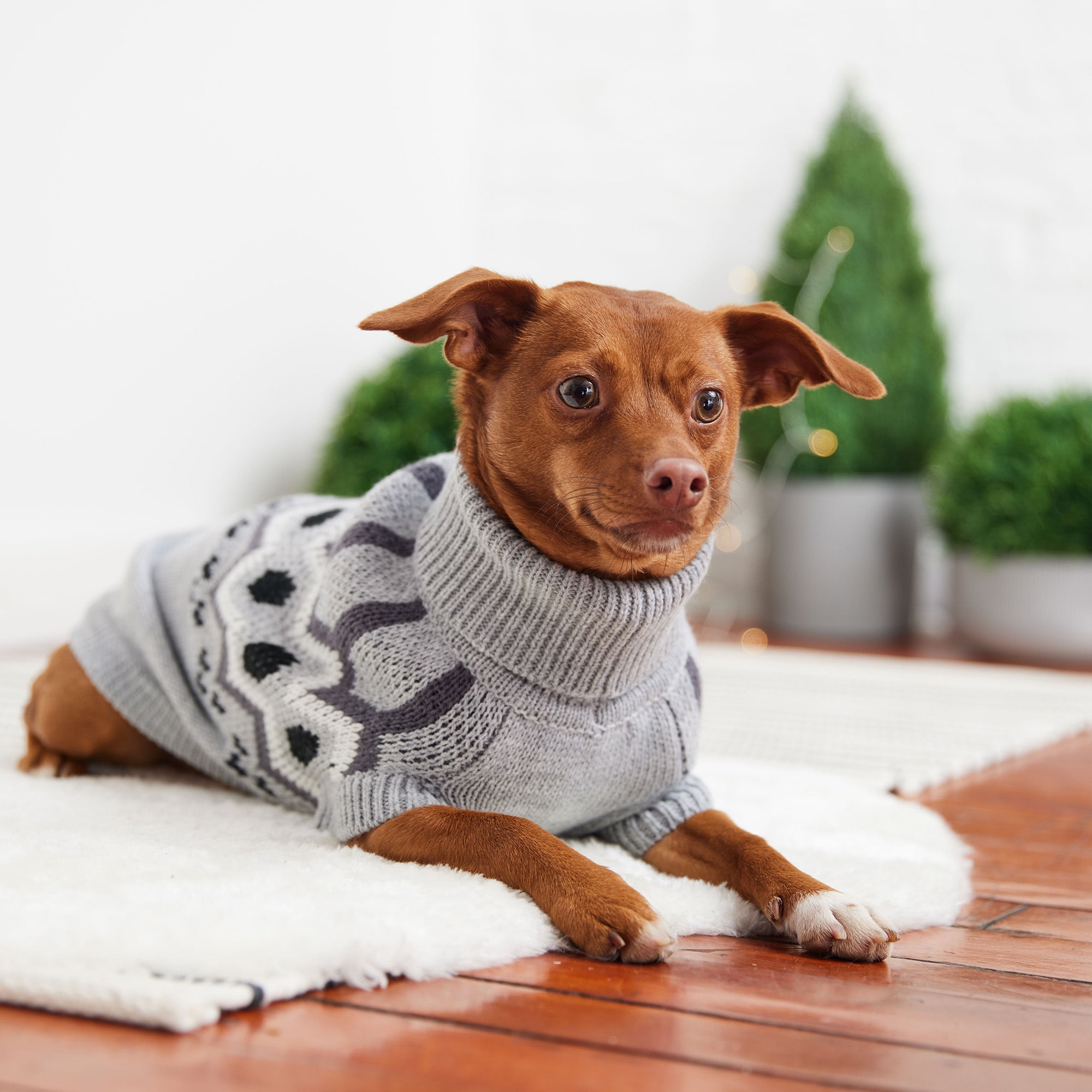 Heritage Sweater - Grey Mix premium pet product