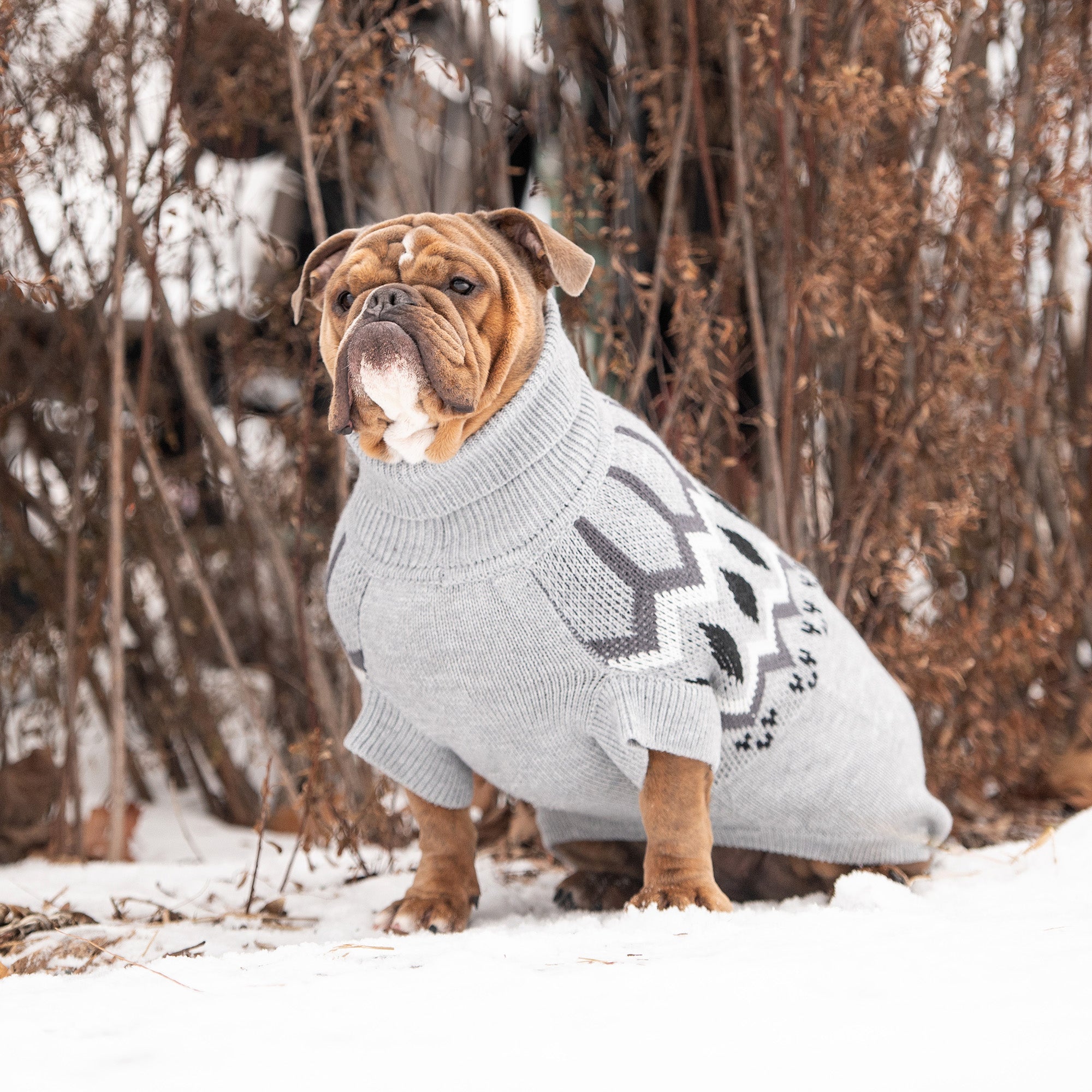 Heritage Sweater - Grey Mix premium pet product