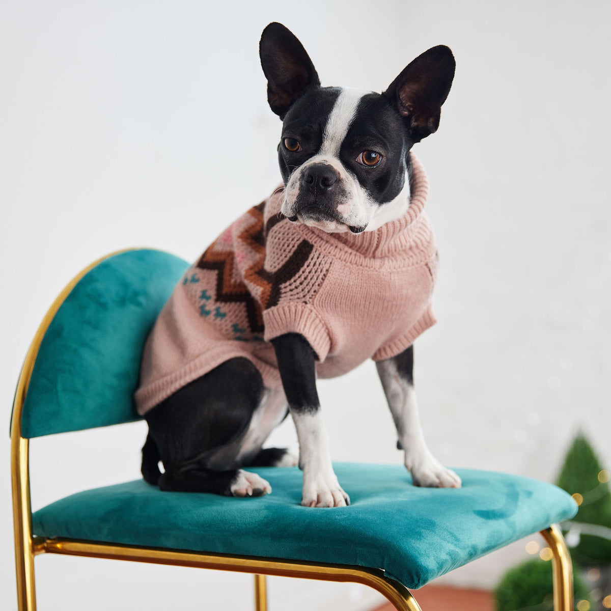 Heritage Sweater - Pink premium pet product
