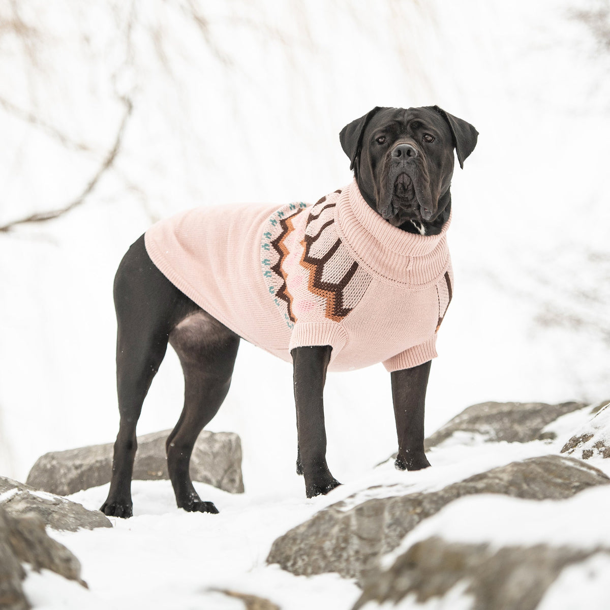 Heritage Sweater - Pink premium pet product