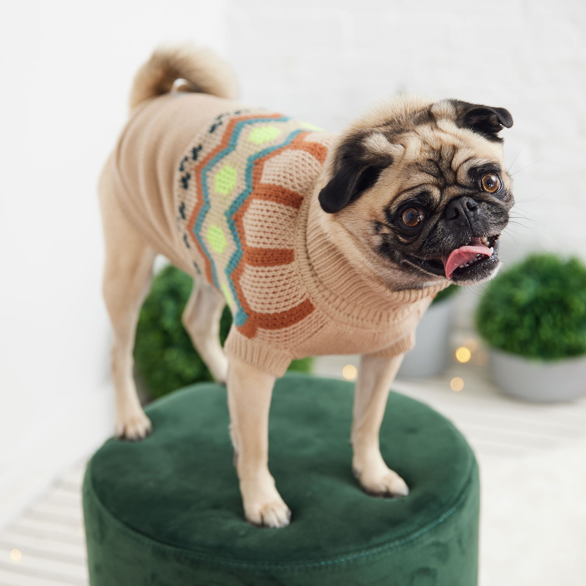 Heritage Sweater - Sand premium pet product