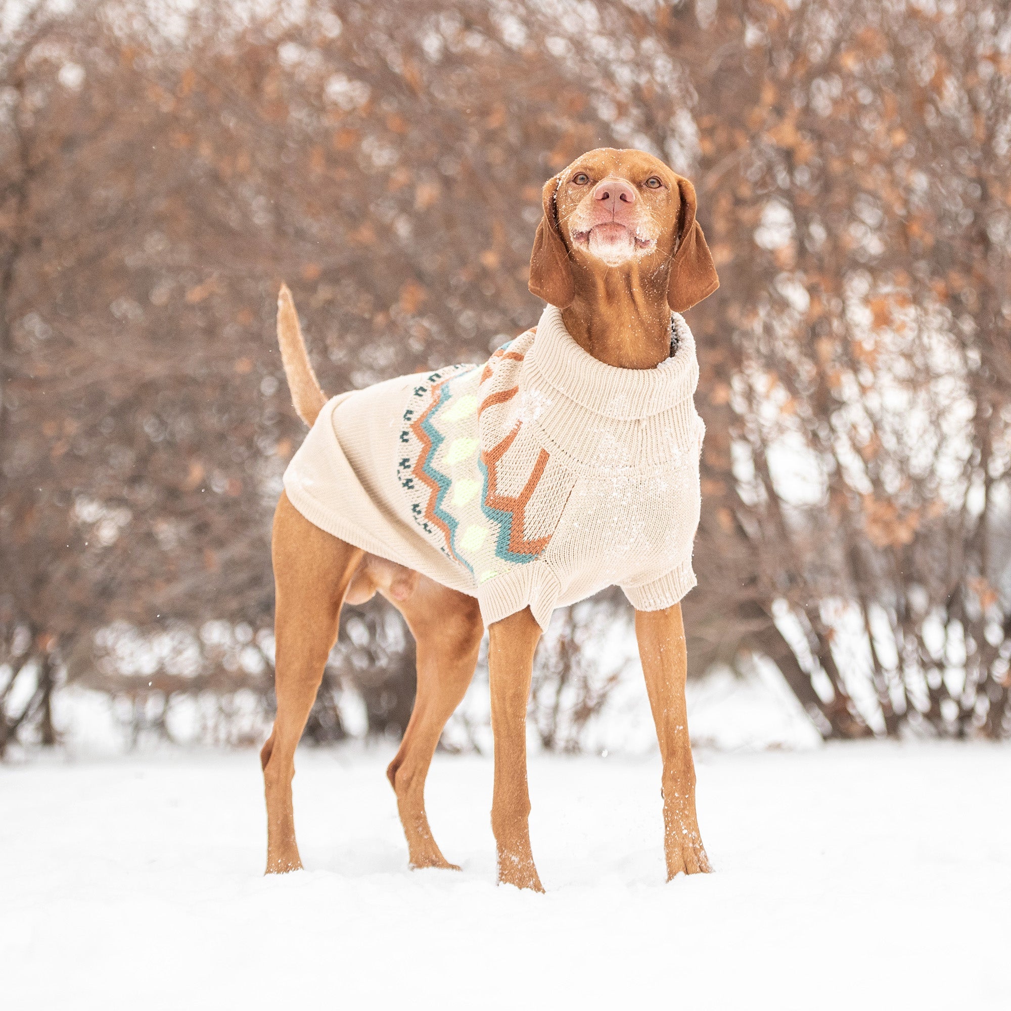 Heritage Sweater - Sand premium pet product