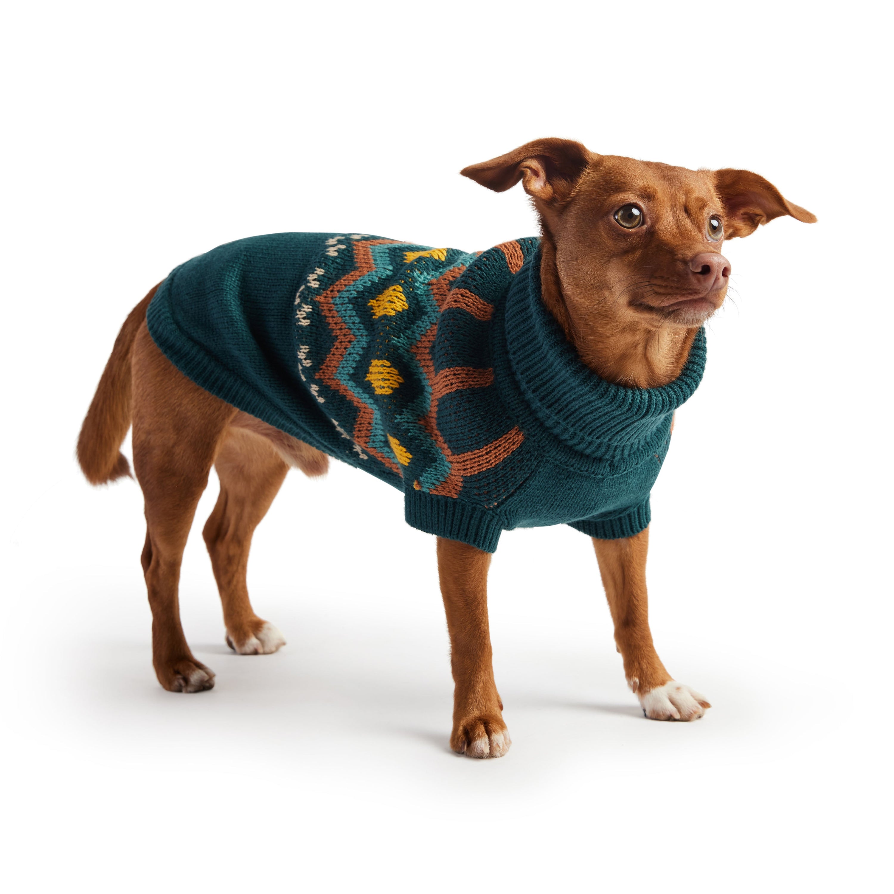 Heritage Sweater - Teal premium pet product