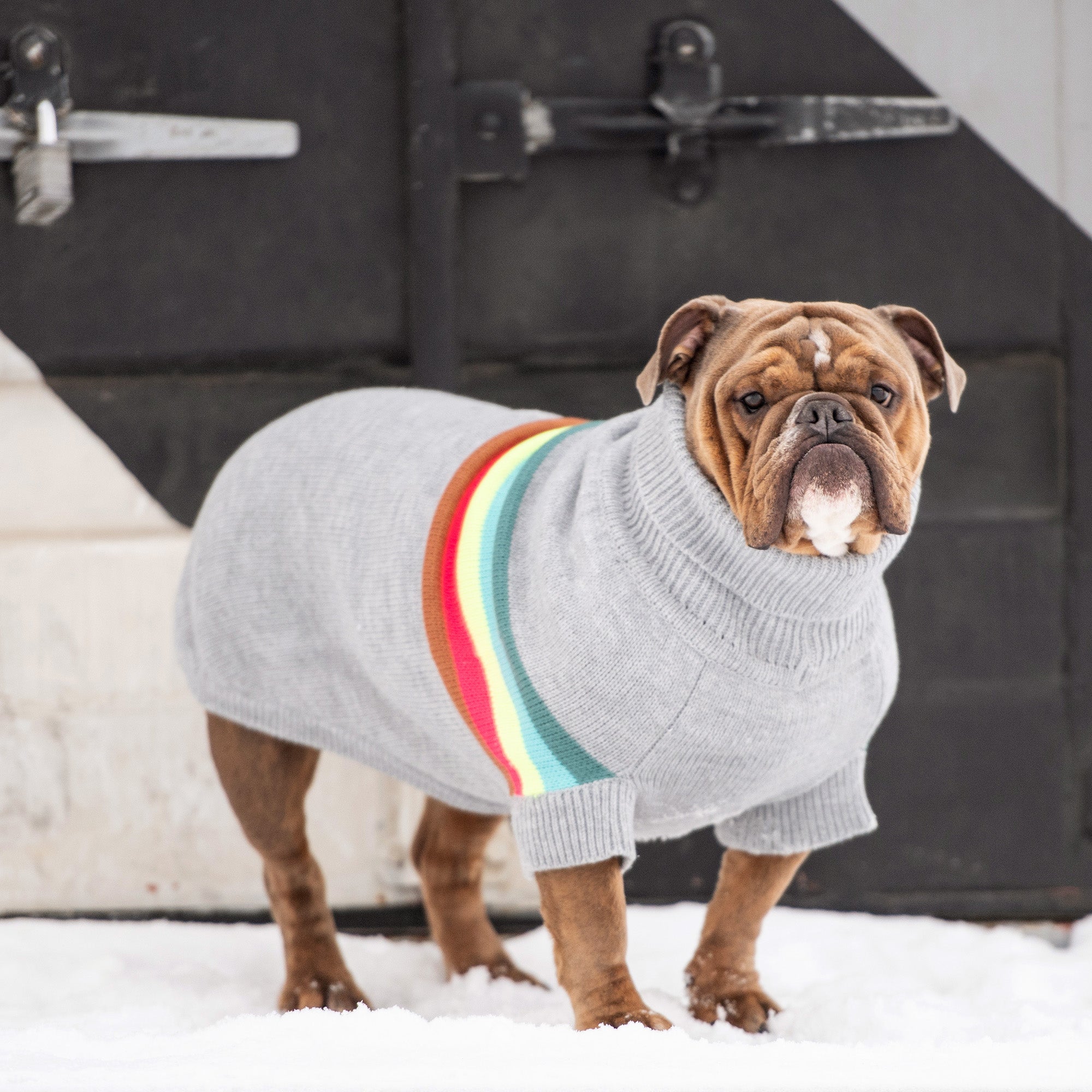 Retro Sweater - Grey Mix premium pet product