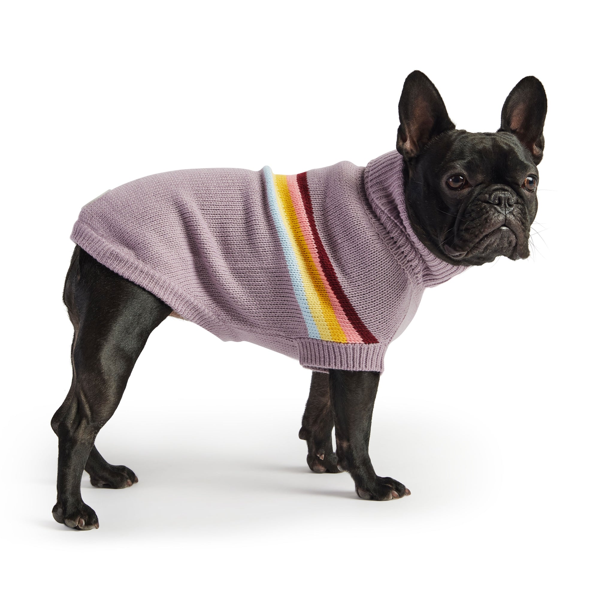 Retro Sweater - Lavender premium pet product