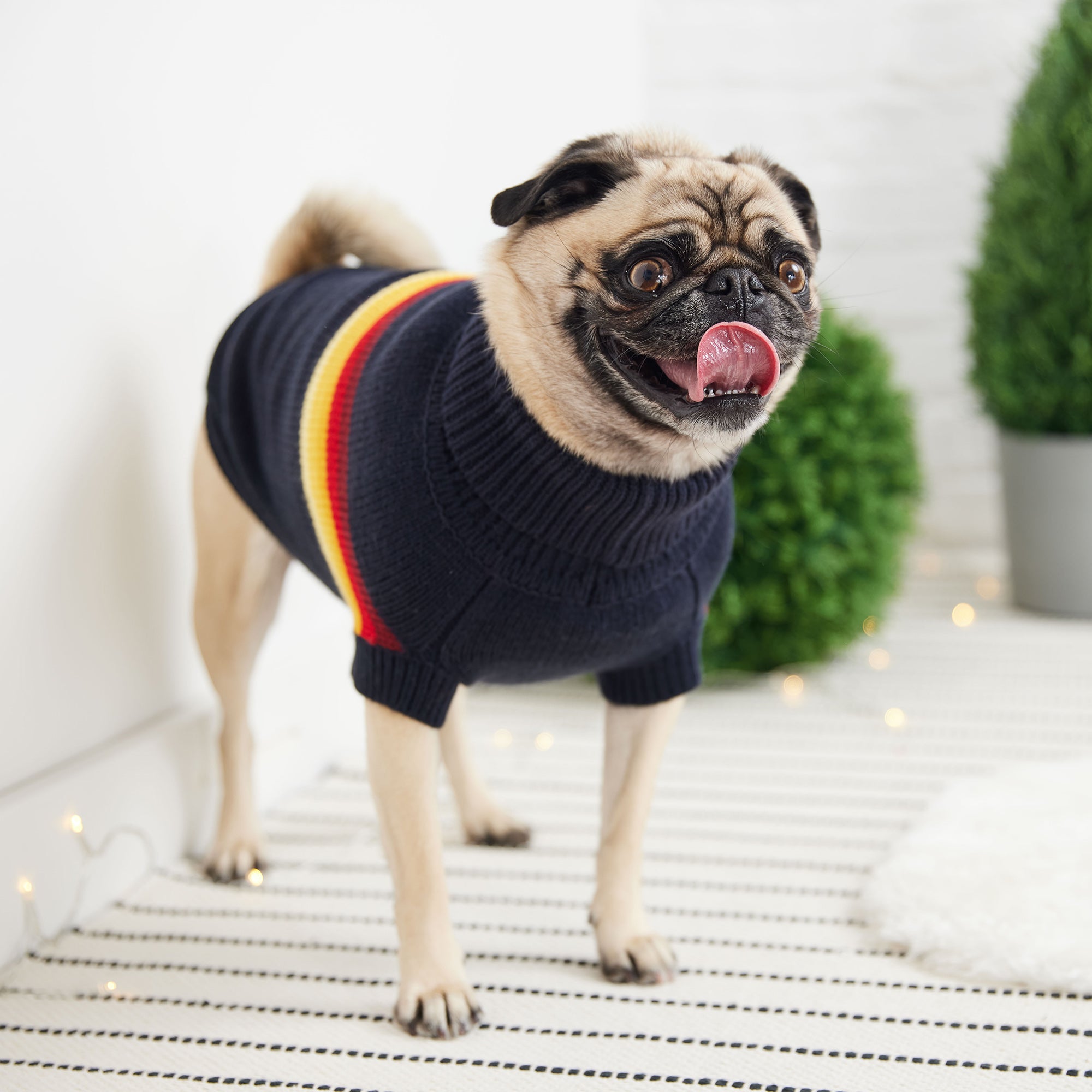 Retro Sweater - Navy premium pet product
