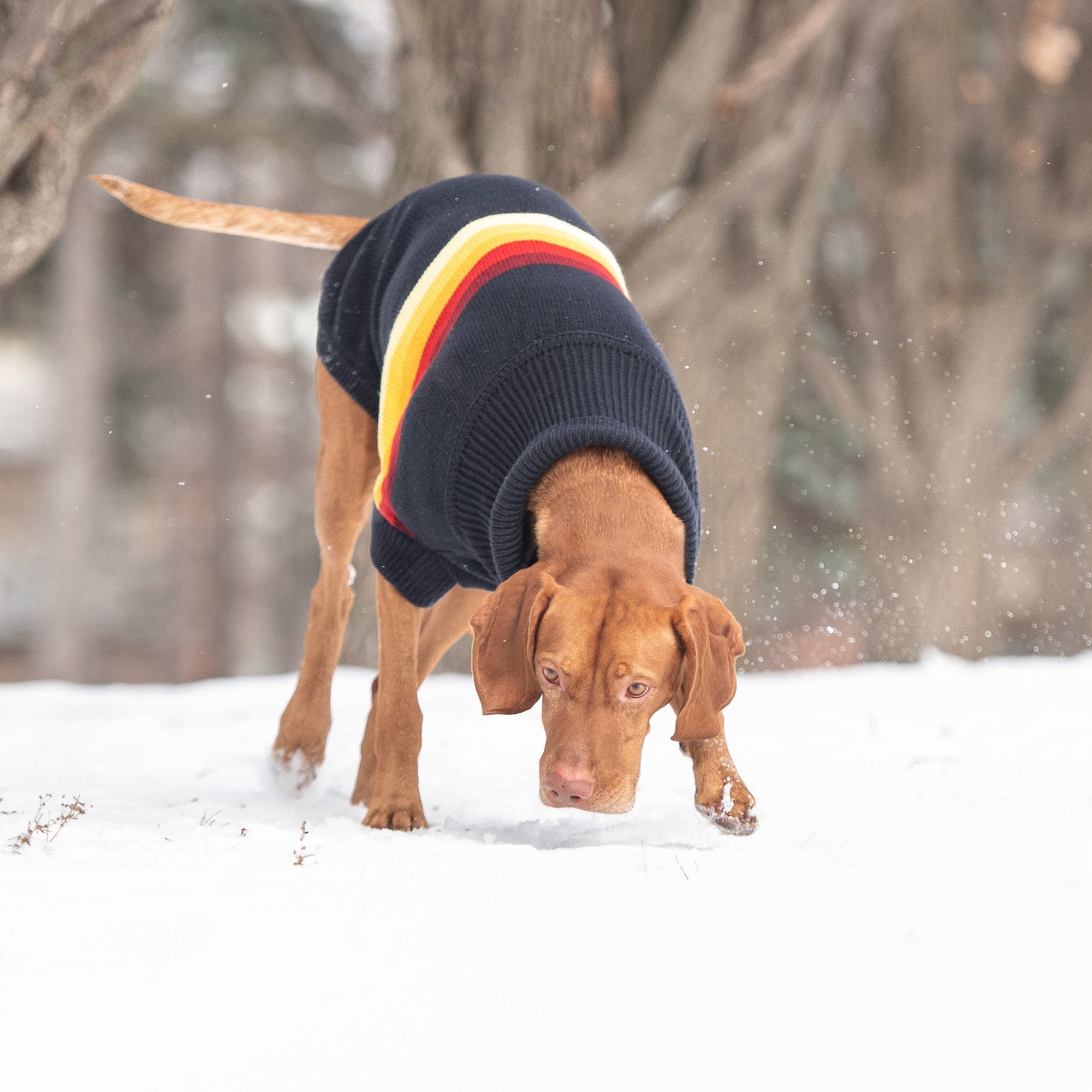 Retro Sweater - Navy premium pet product