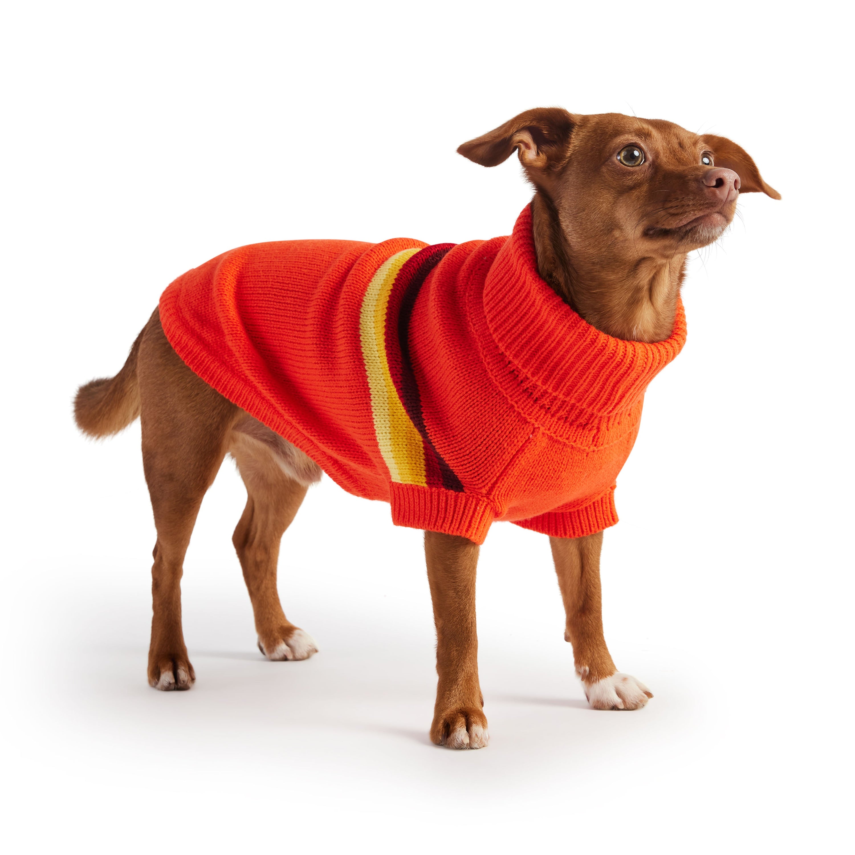 Retro Sweater - Orange premium pet product