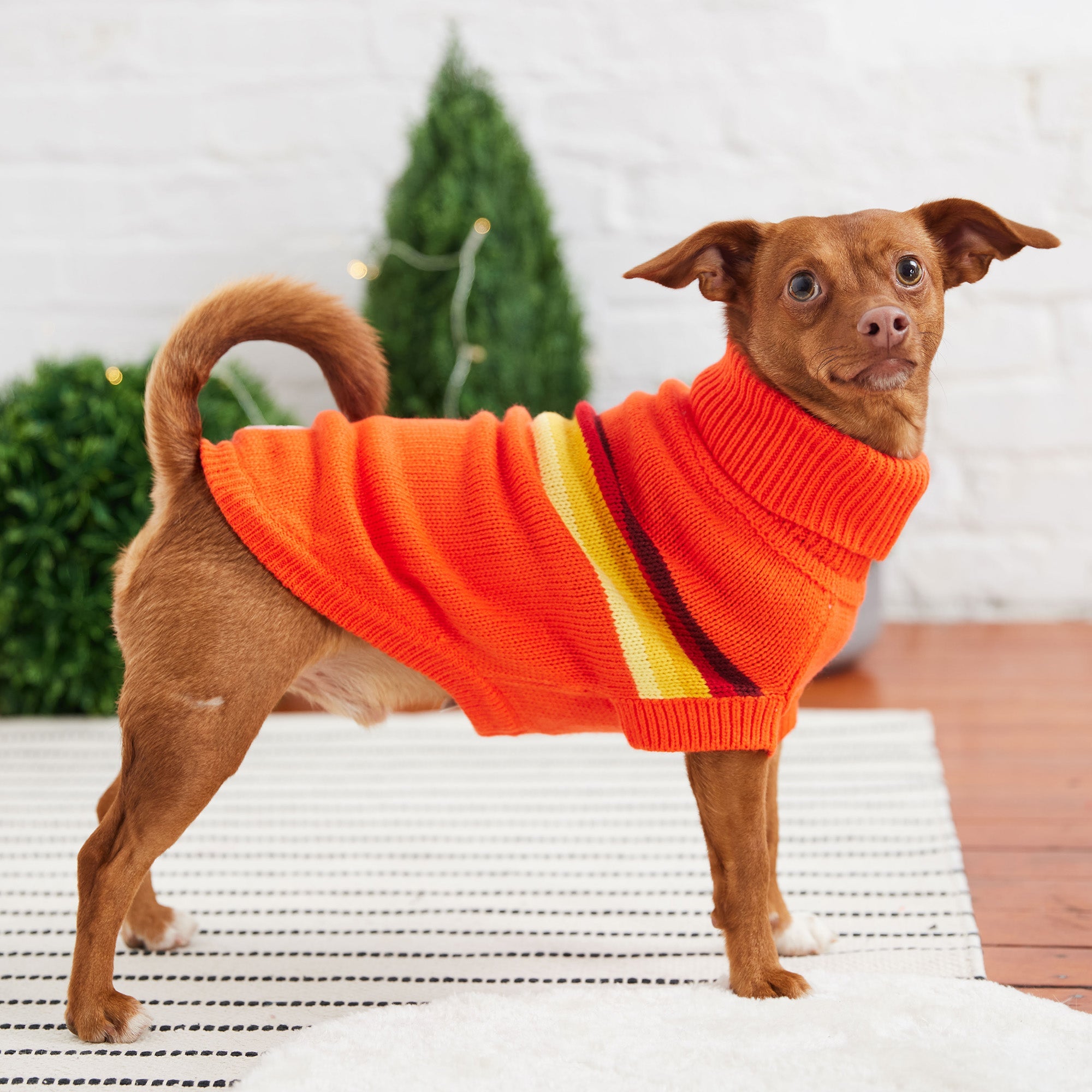 Retro Sweater - Orange premium pet product
