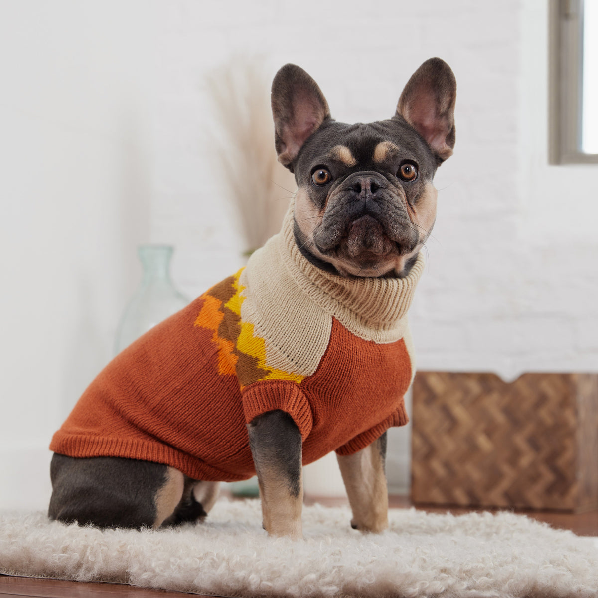 Fireside Sweater - Chili premium pet product