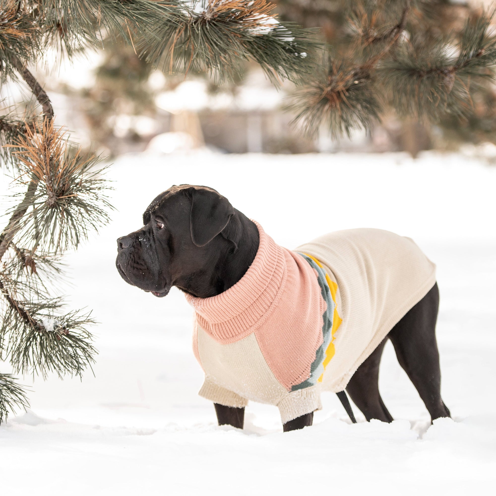 Fireside Sweater - Clay premium pet product