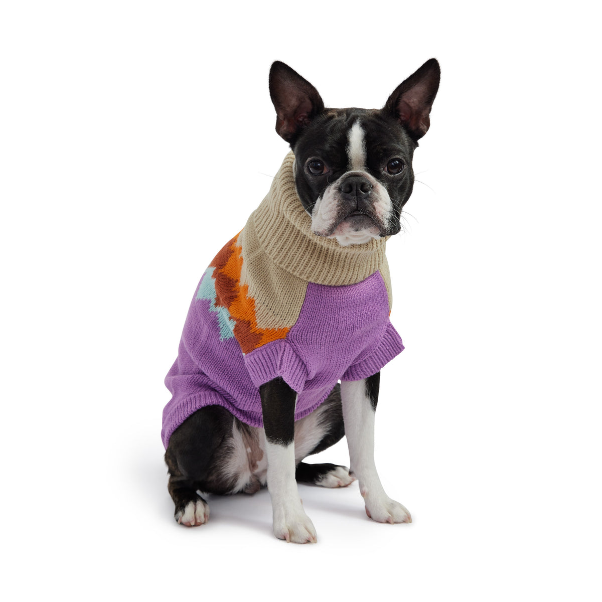 Fireside Sweater - Purple premium pet product