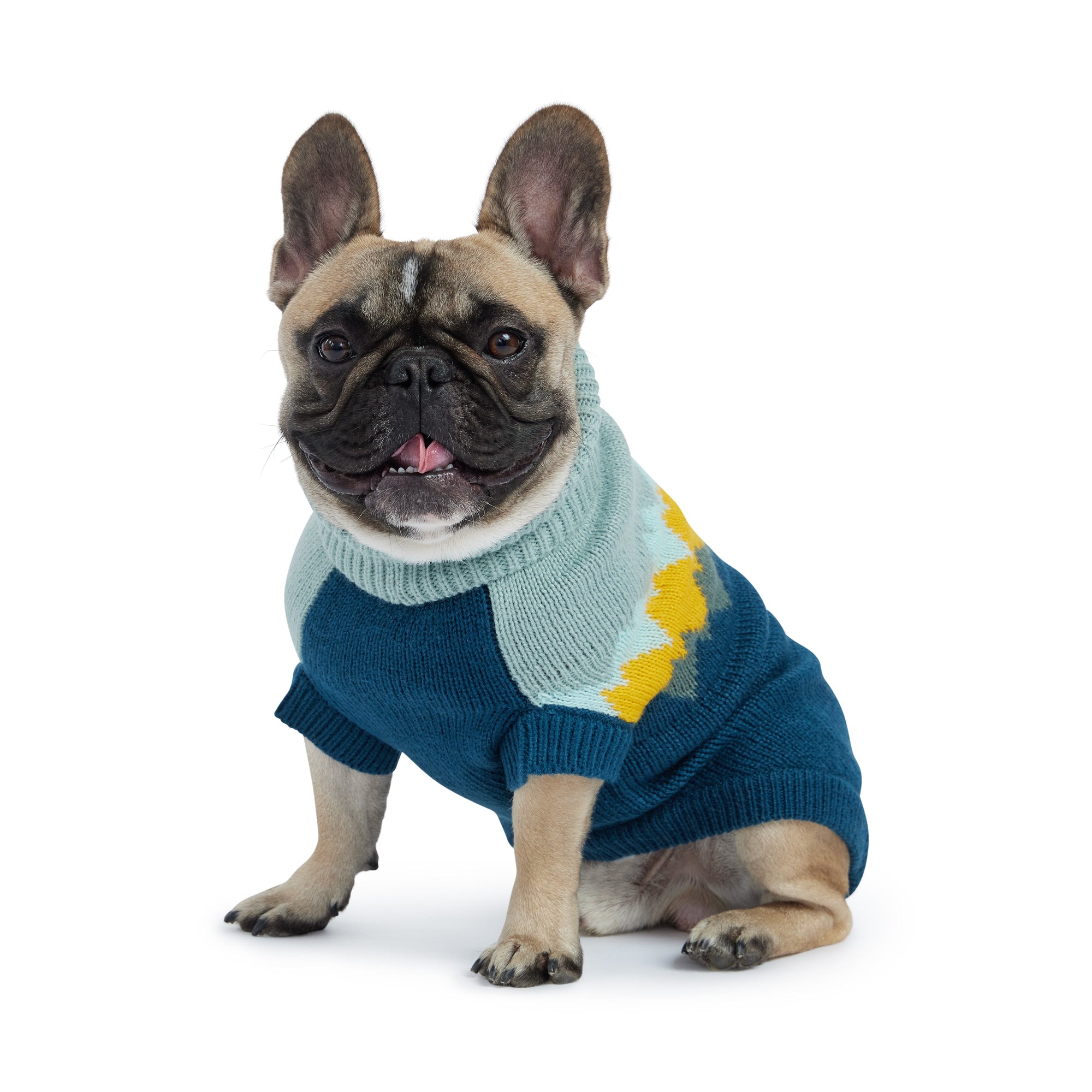 Fireside Sweater - Teal premium pet product