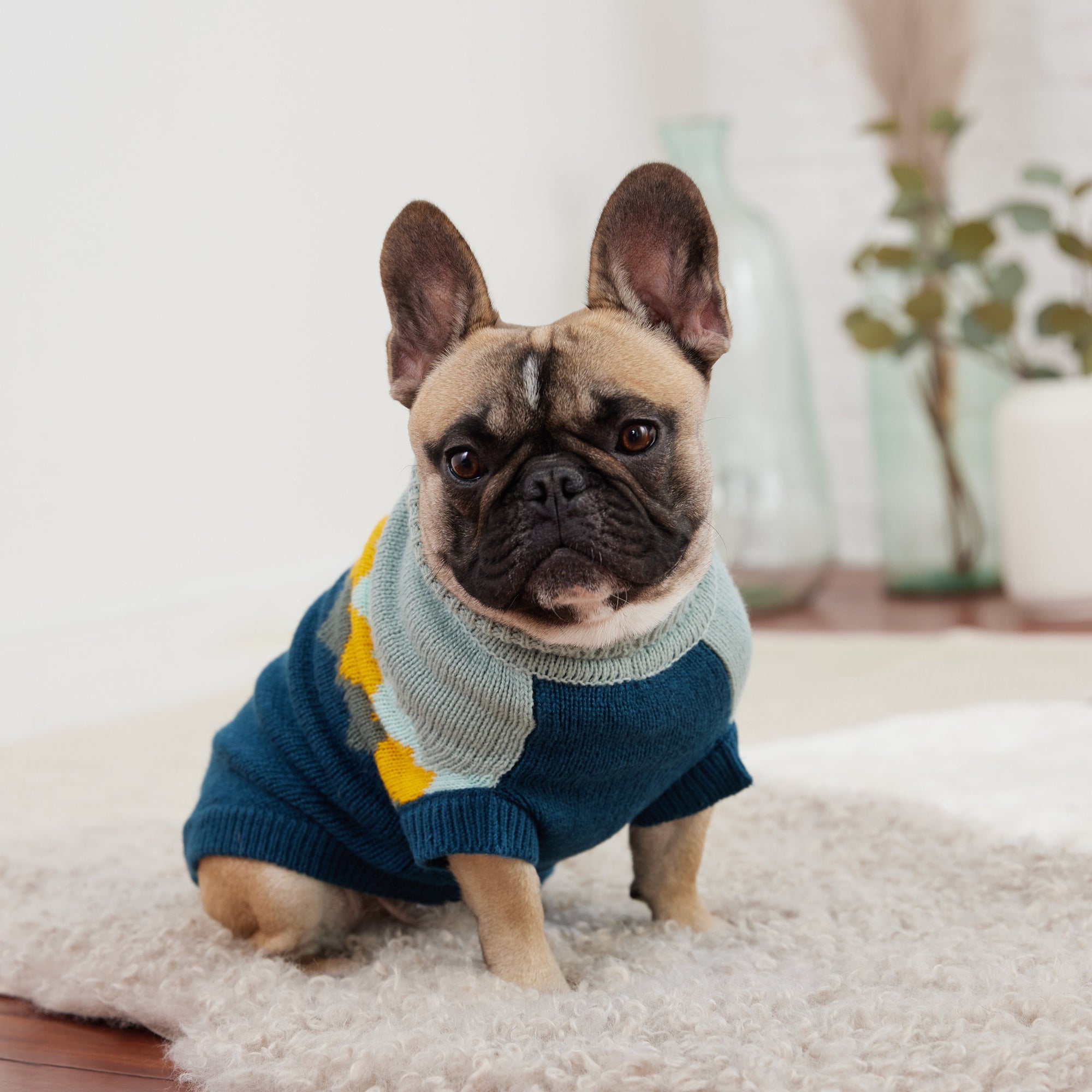 Fireside Sweater - Teal premium pet product
