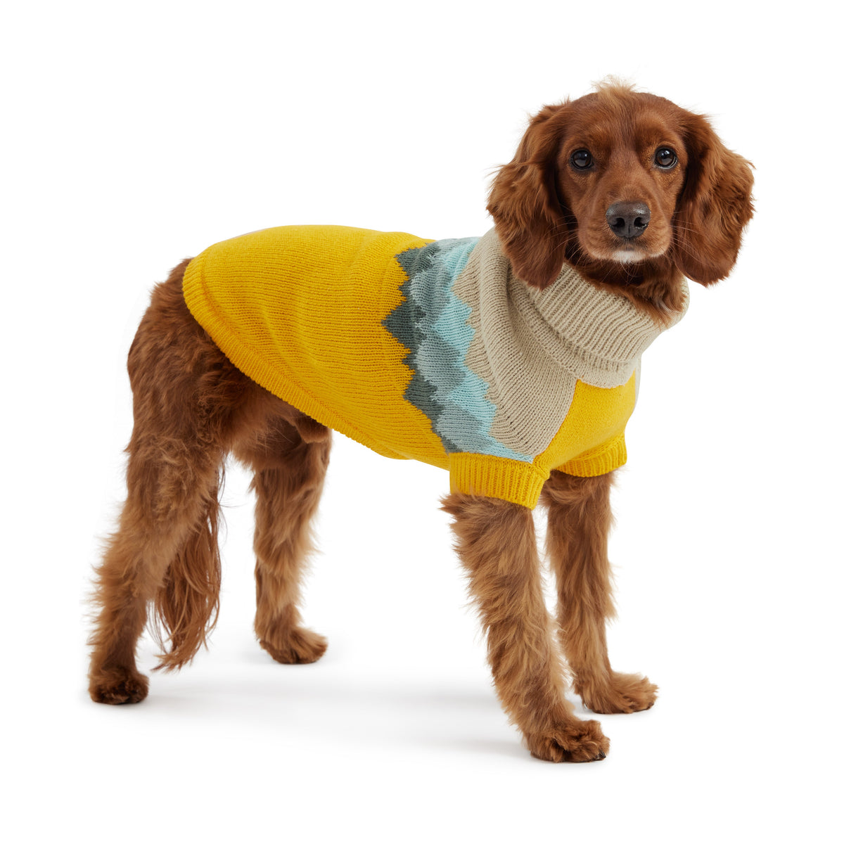 Fireside Sweater - Yellow premium pet product